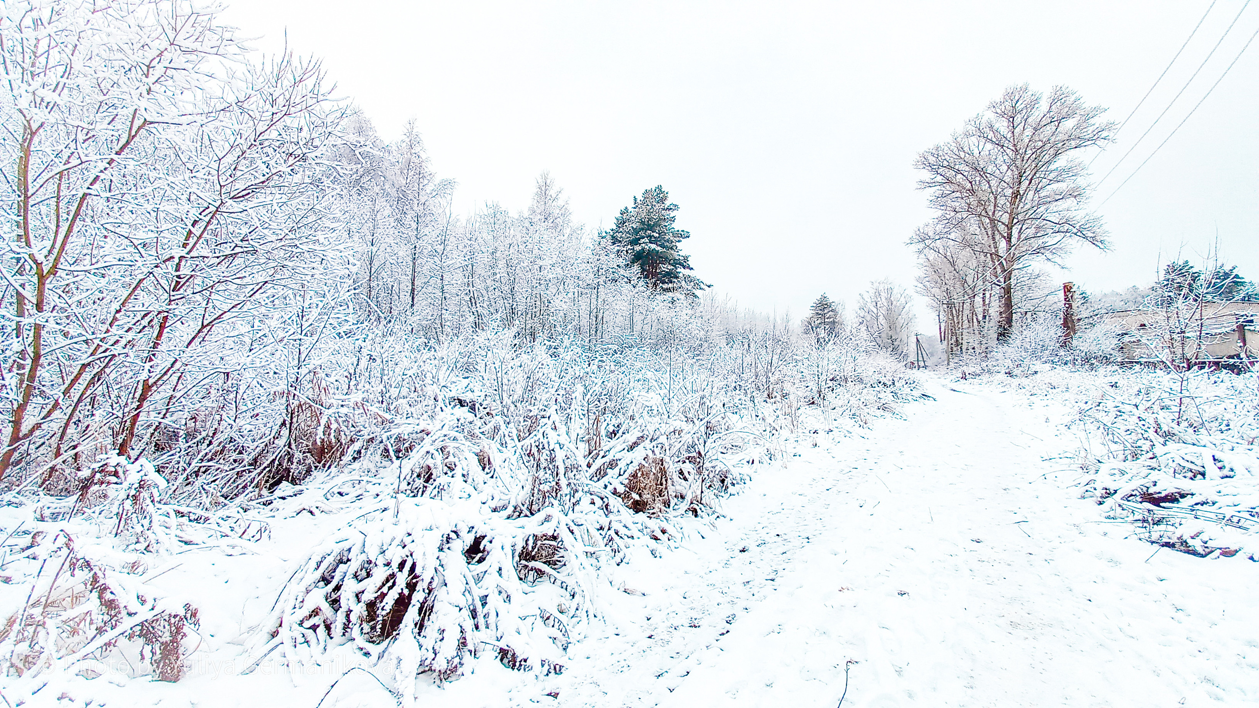 Разные фото на телефон.Города,природа. Фотограф-анималист Юлия Германика