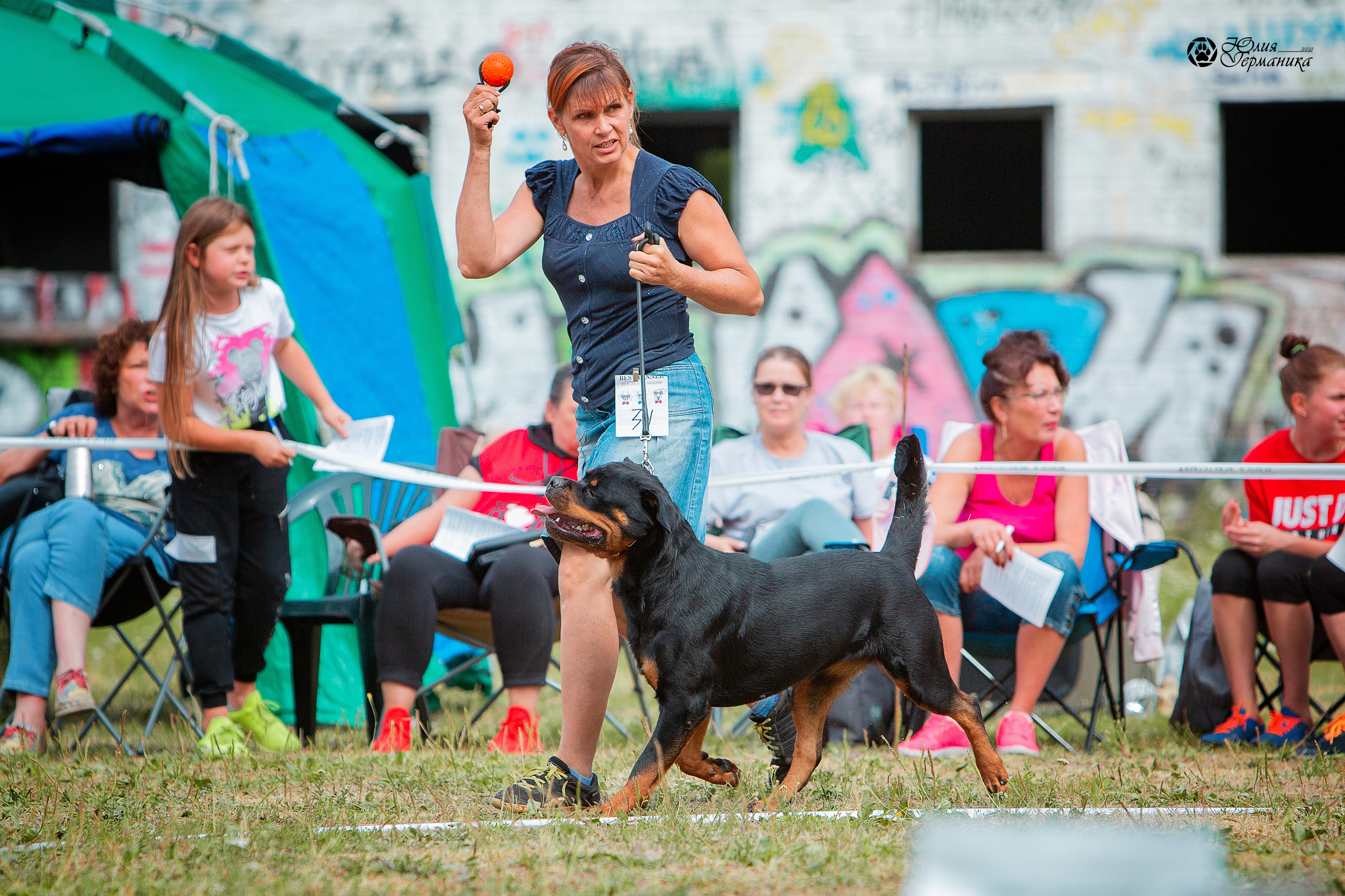 Монопородная выставка ротвейлеров Питер. Фотограф-анималист Юлия Германика