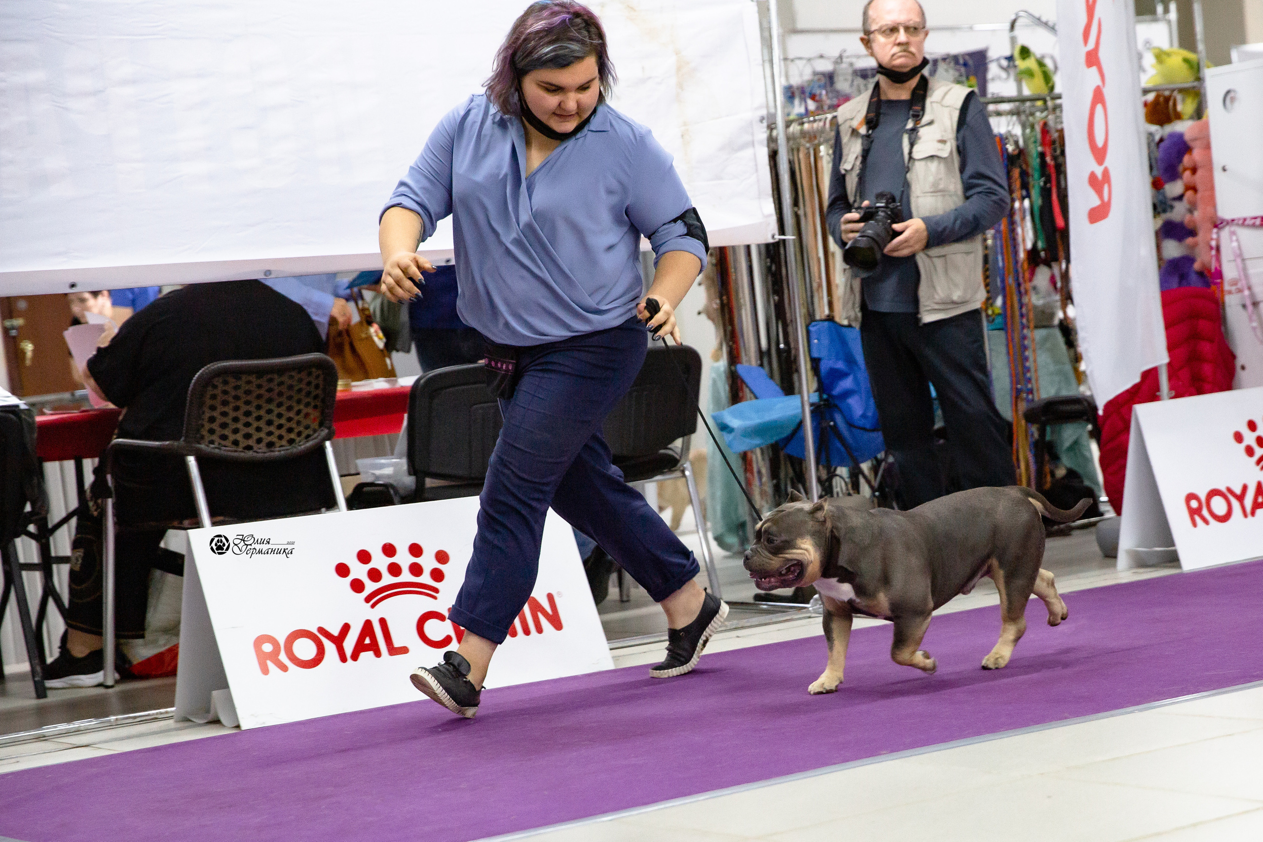 Чайна-Таун 2021. Фотограф-анималист Юлия Германика