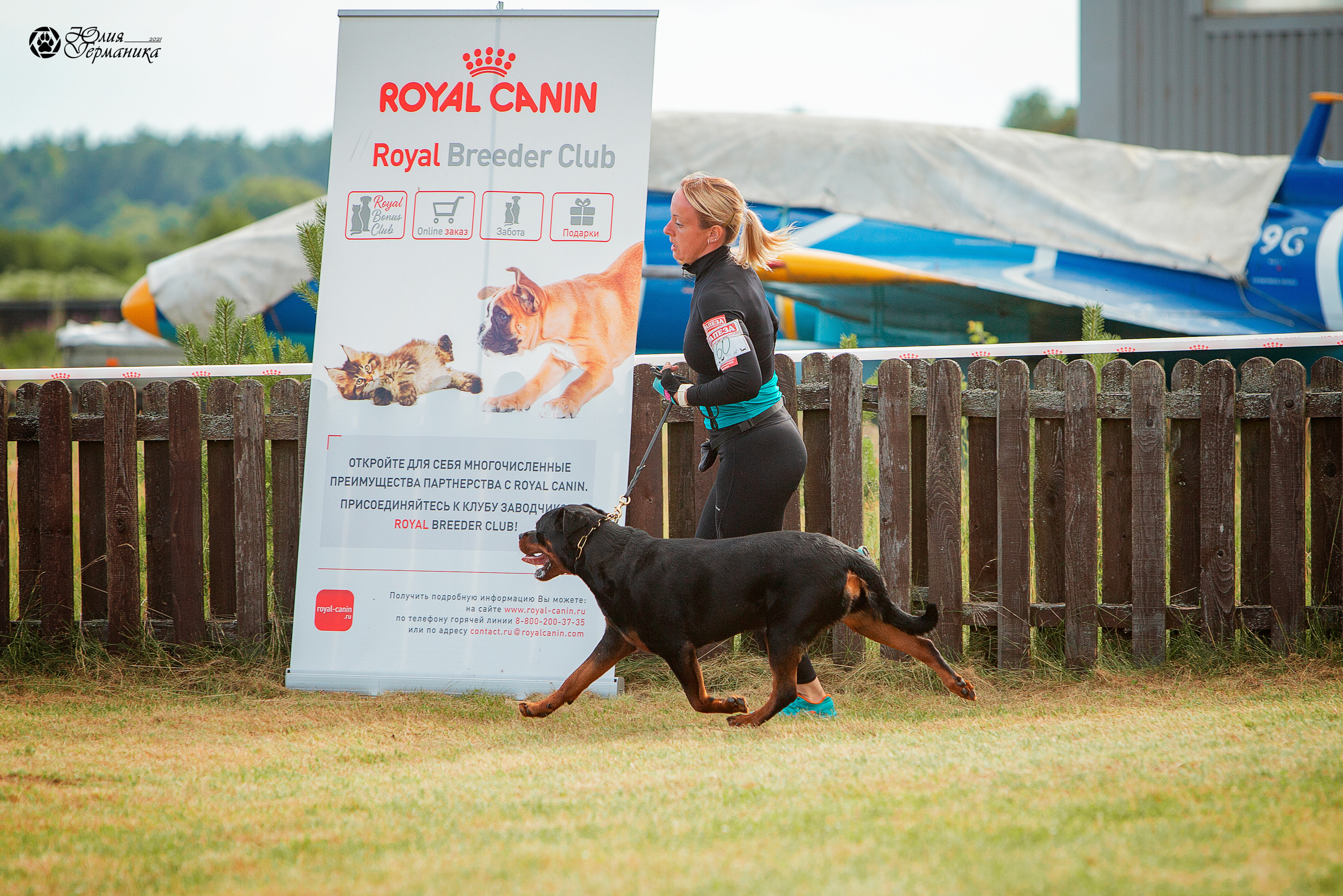 Тверь моно ротвейлеров 3-4 июля 2021. Фотограф-анималист Юлия Германика