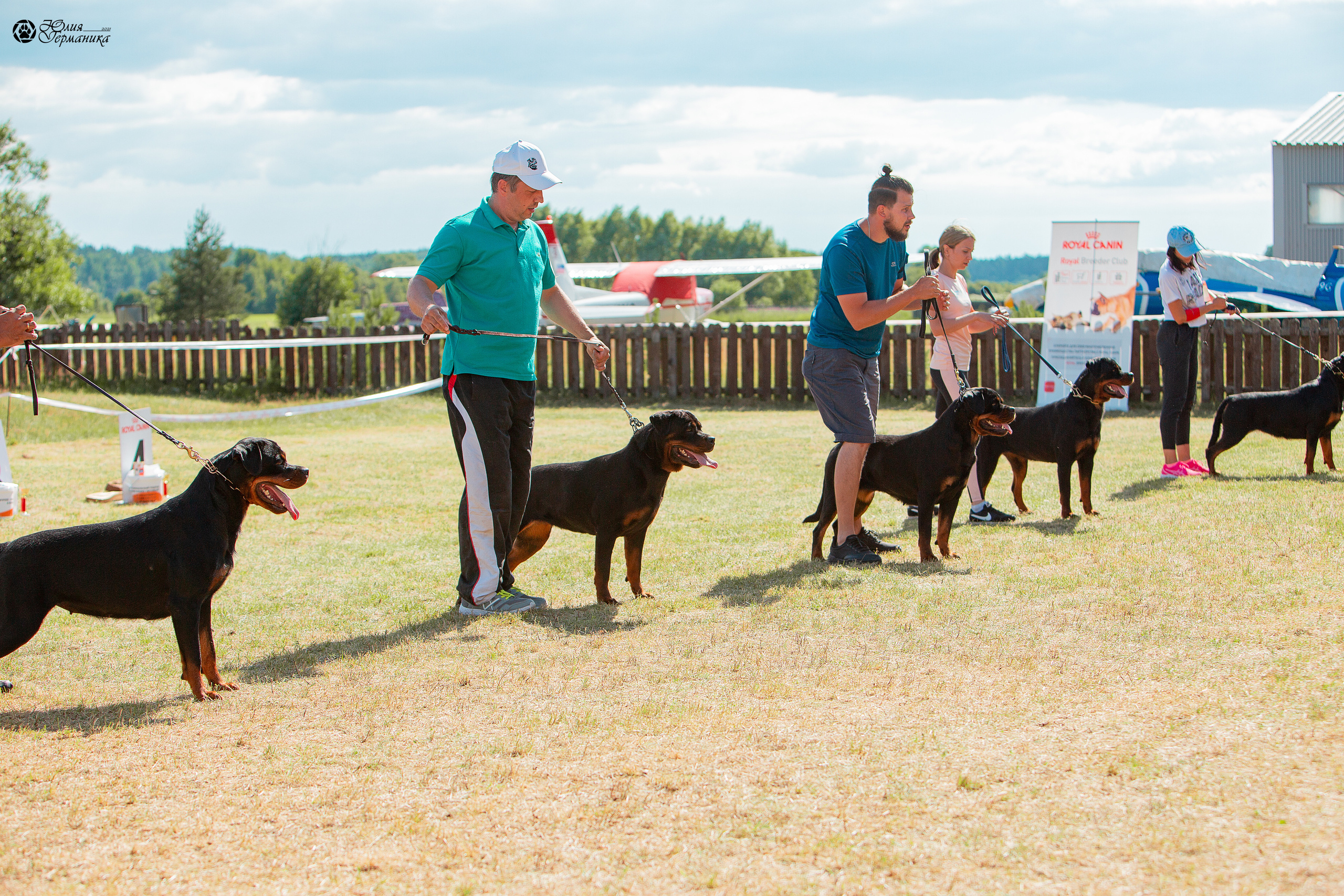 Тверь моно ротвейлеров 3-4 июля 2021. Фотограф-анималист Юлия Германика