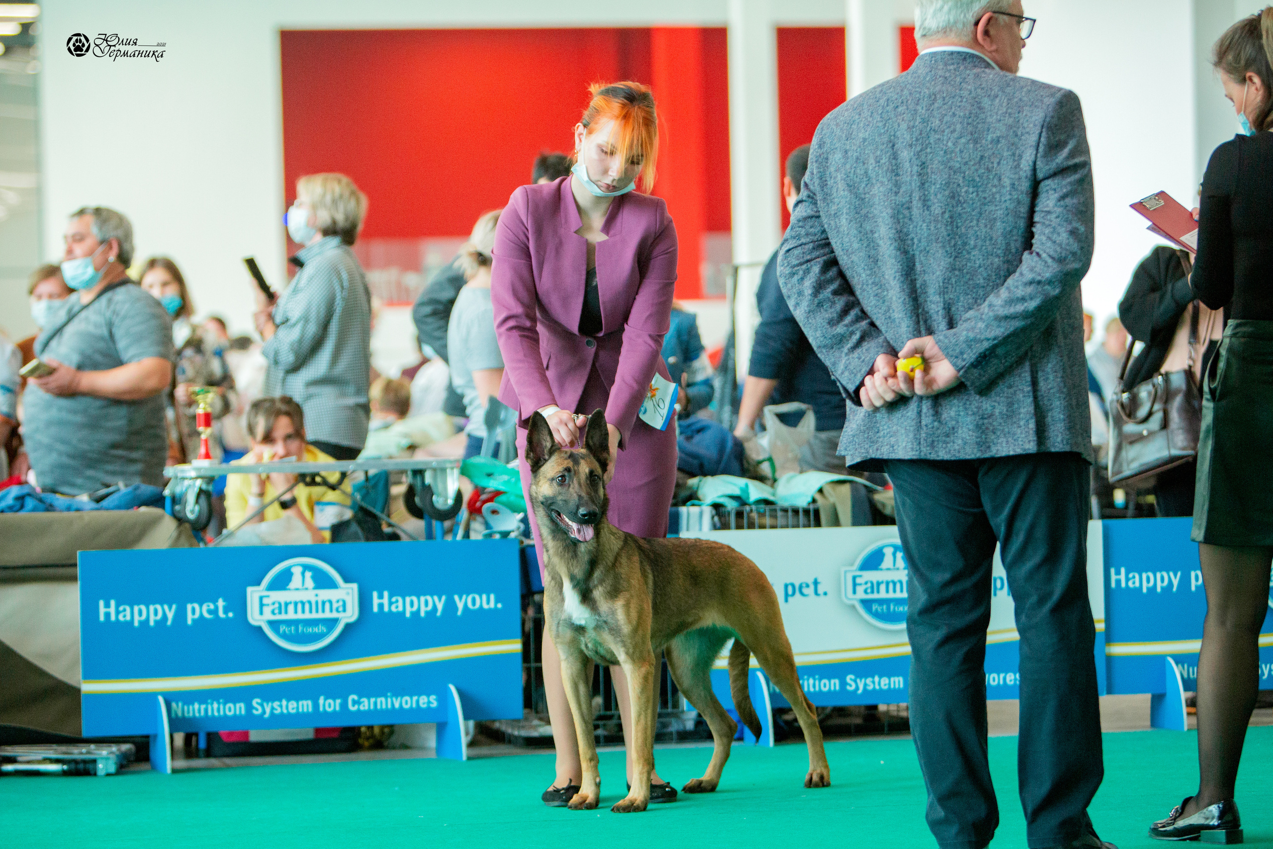 Нижний Новгород 3хCACIB 15-17 октября 2021. Фотограф-анималист Юлия Германика