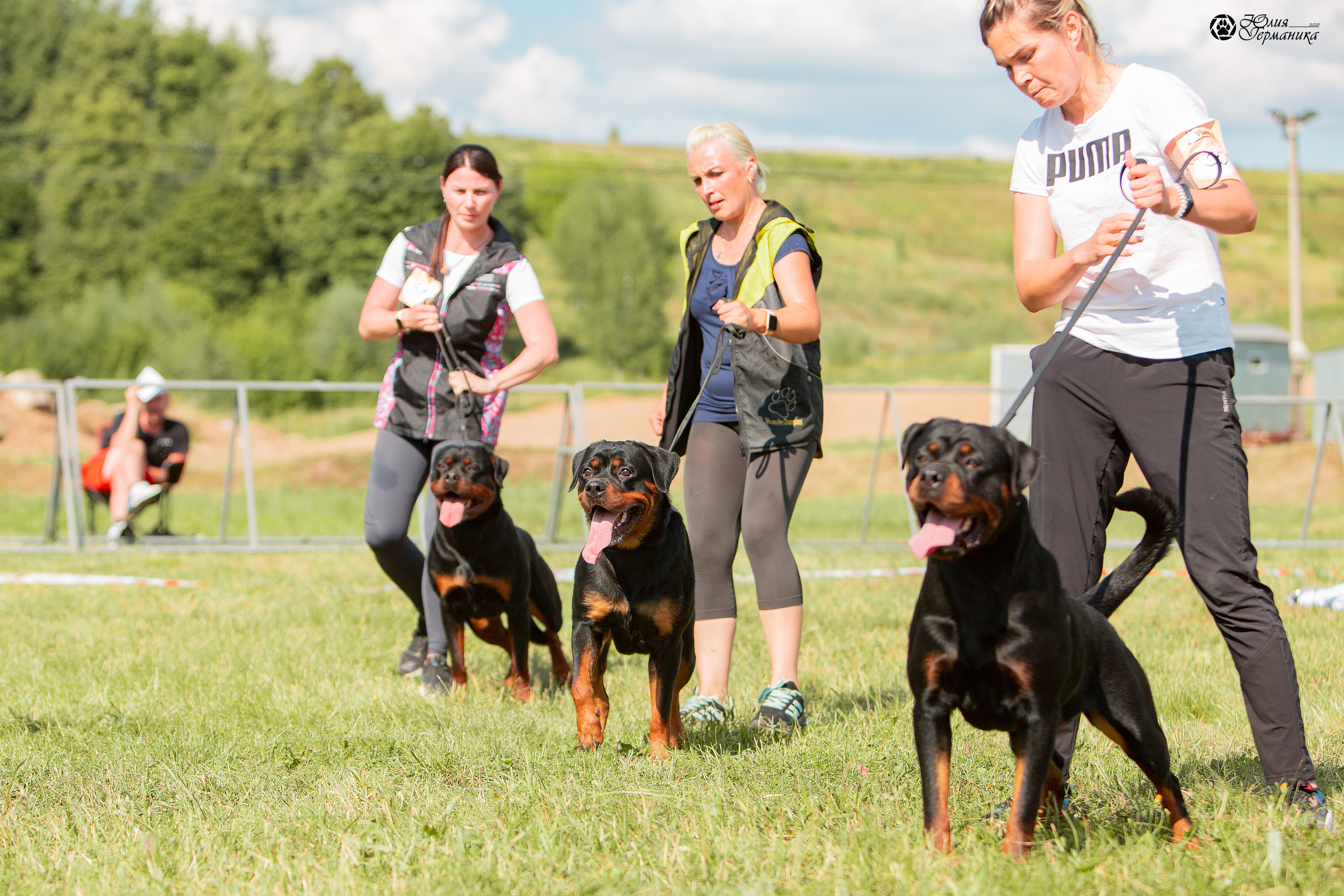 Рязань,Ховрино 14-15 августа 2021 моно ротвейлеров. Фотограф-анималист Юлия Германика