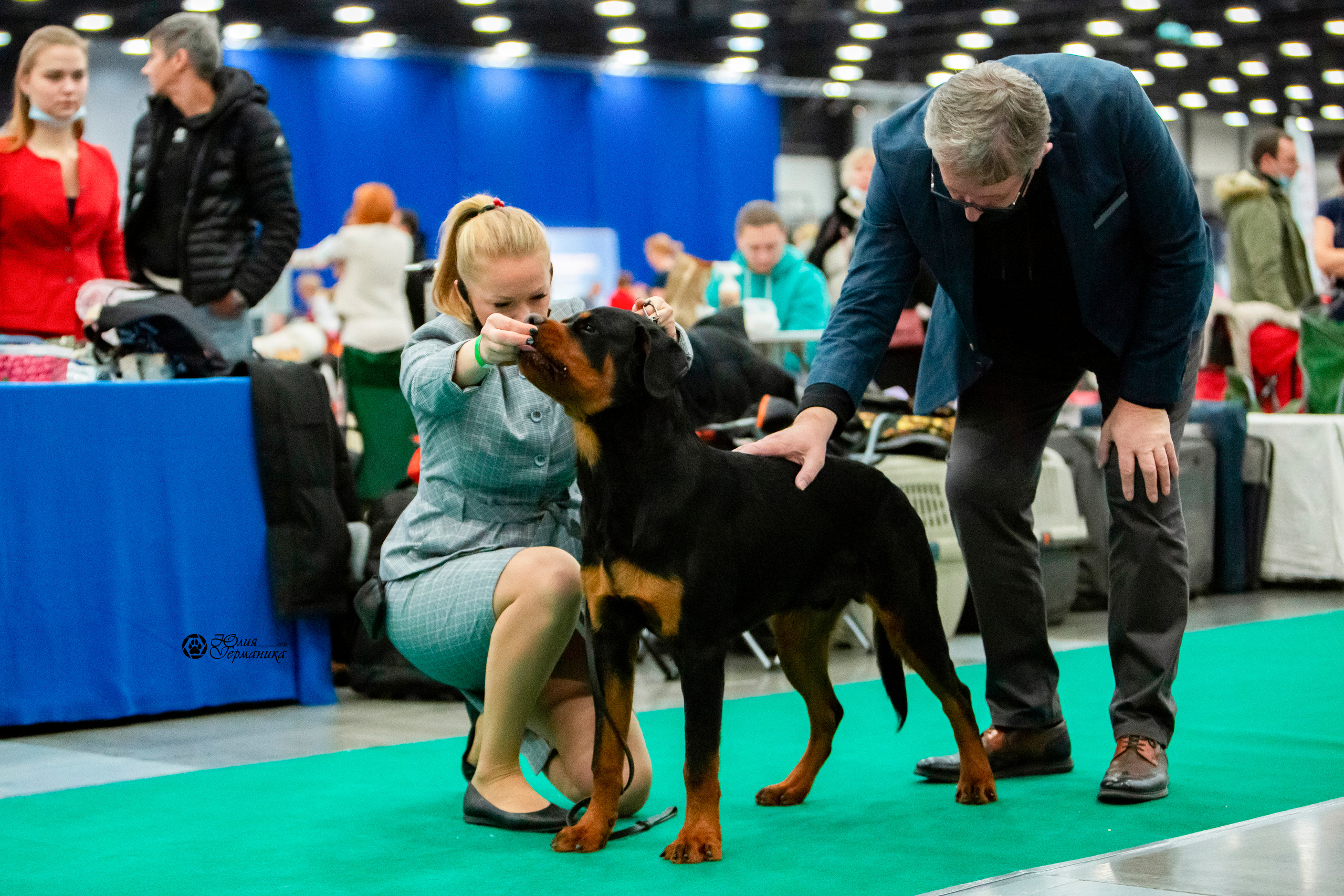 Санкт-Петербург 3хCACIB 10-12 декабря 2021. Фотограф-анималист Юлия Германика