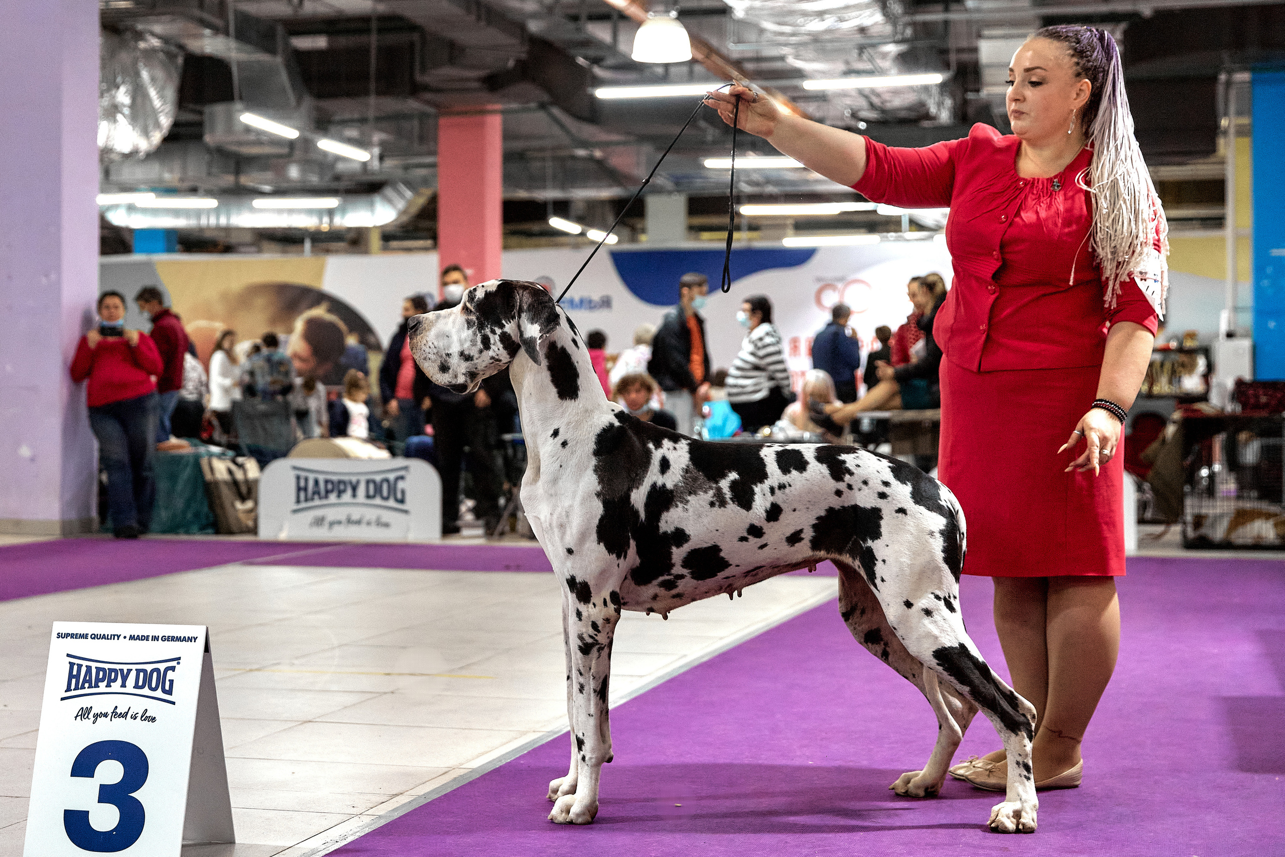 Чайник  13-14 ноября 2021. Фотограф-анималист Юлия Германика