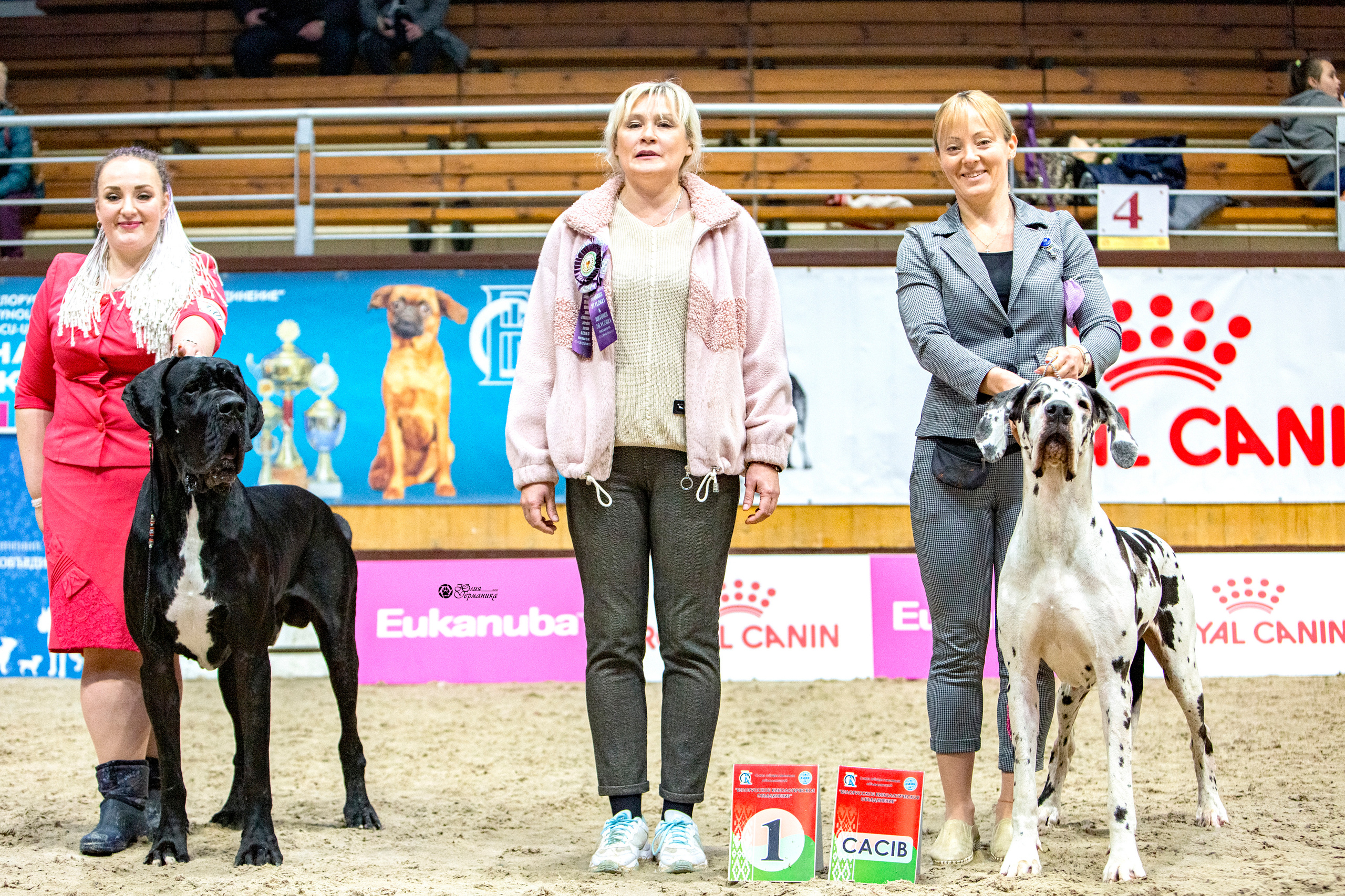 Минск 2хCACIB 27-28 ноября 2021. Фотограф-анималист Юлия Германика