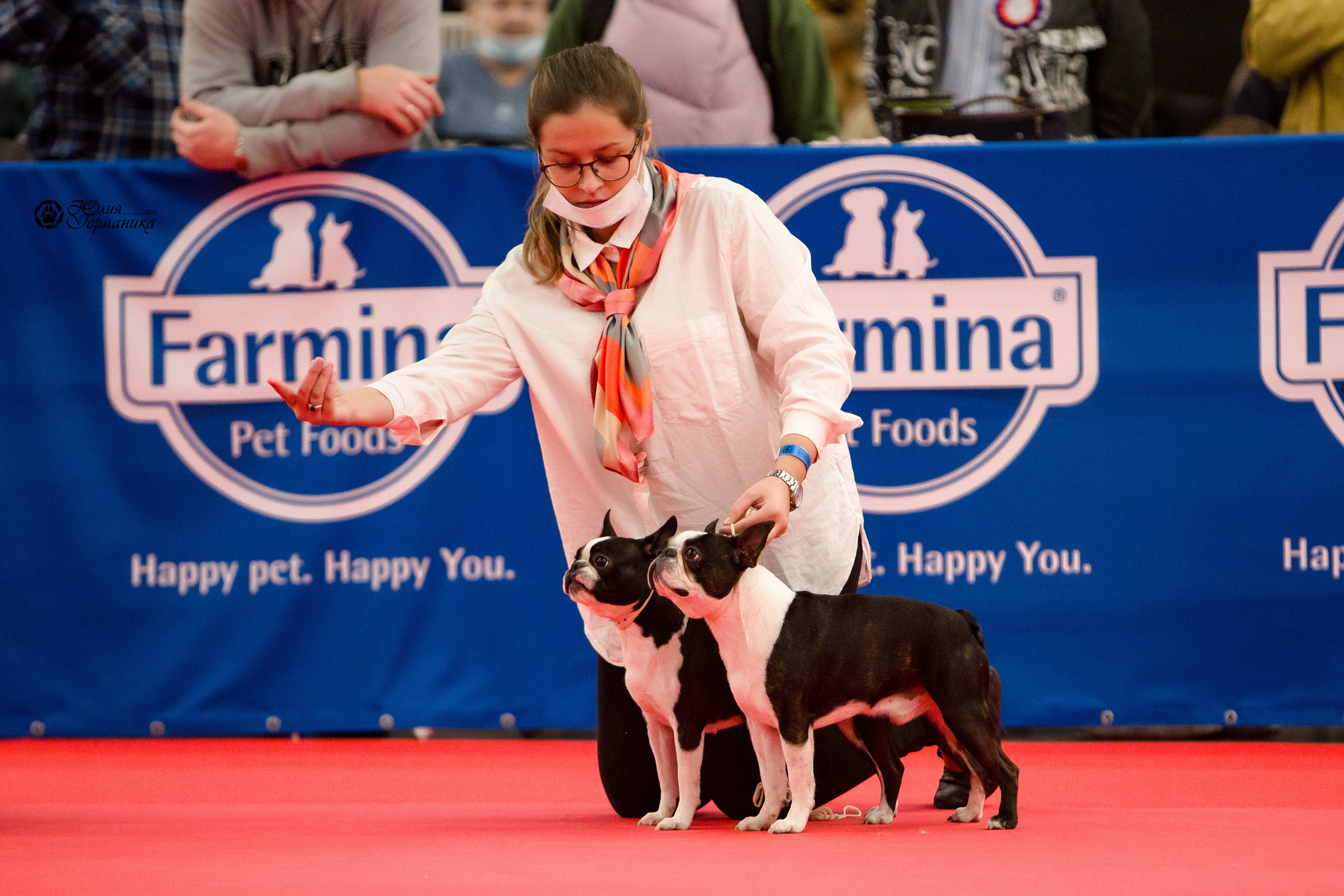 Нижний Новгород 3хCACIB 15-17 октября 2021. Фотограф-анималист Юлия Германика