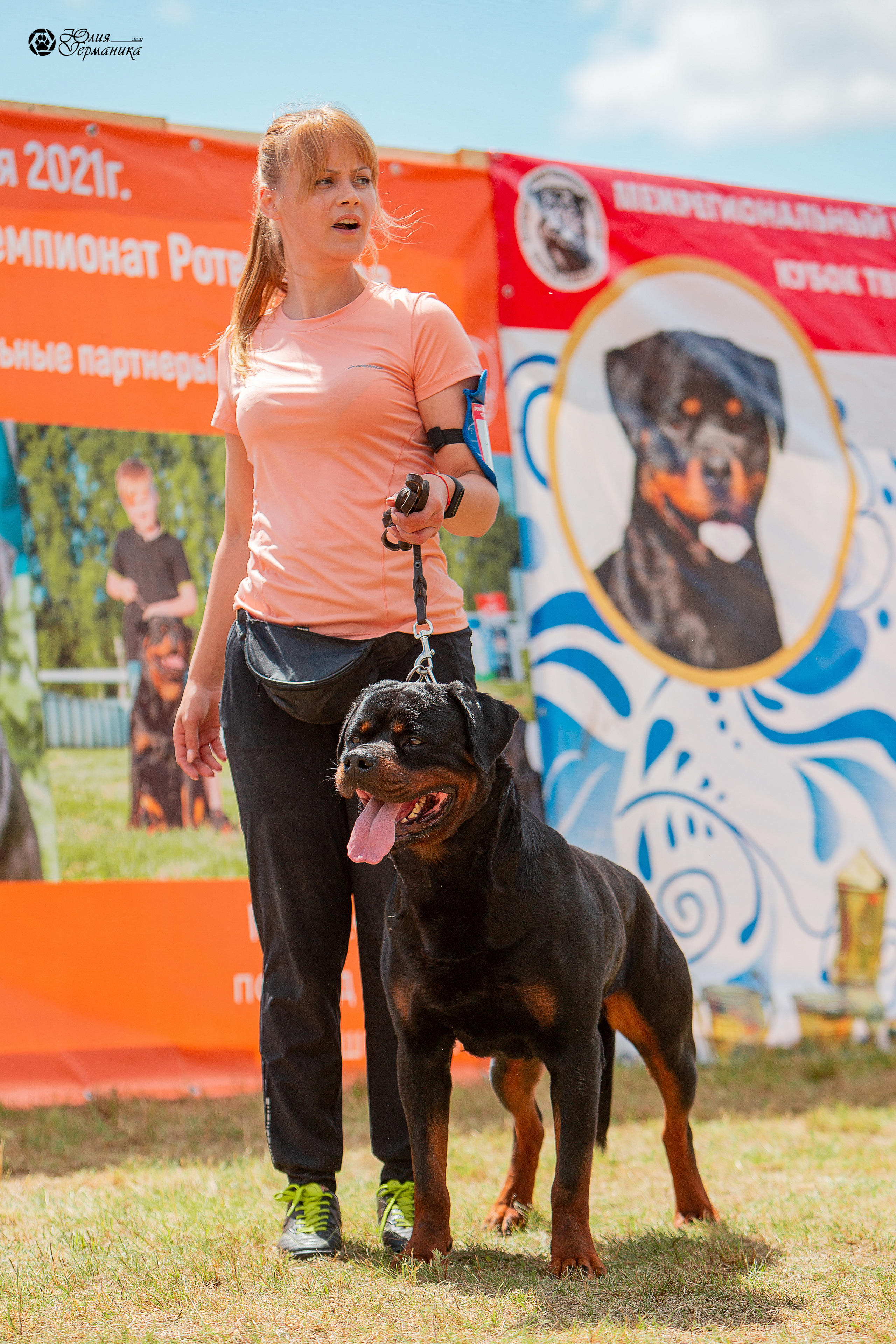 Тверь моно ротвейлеров 3-4 июля 2021. Фотограф-анималист Юлия Германика