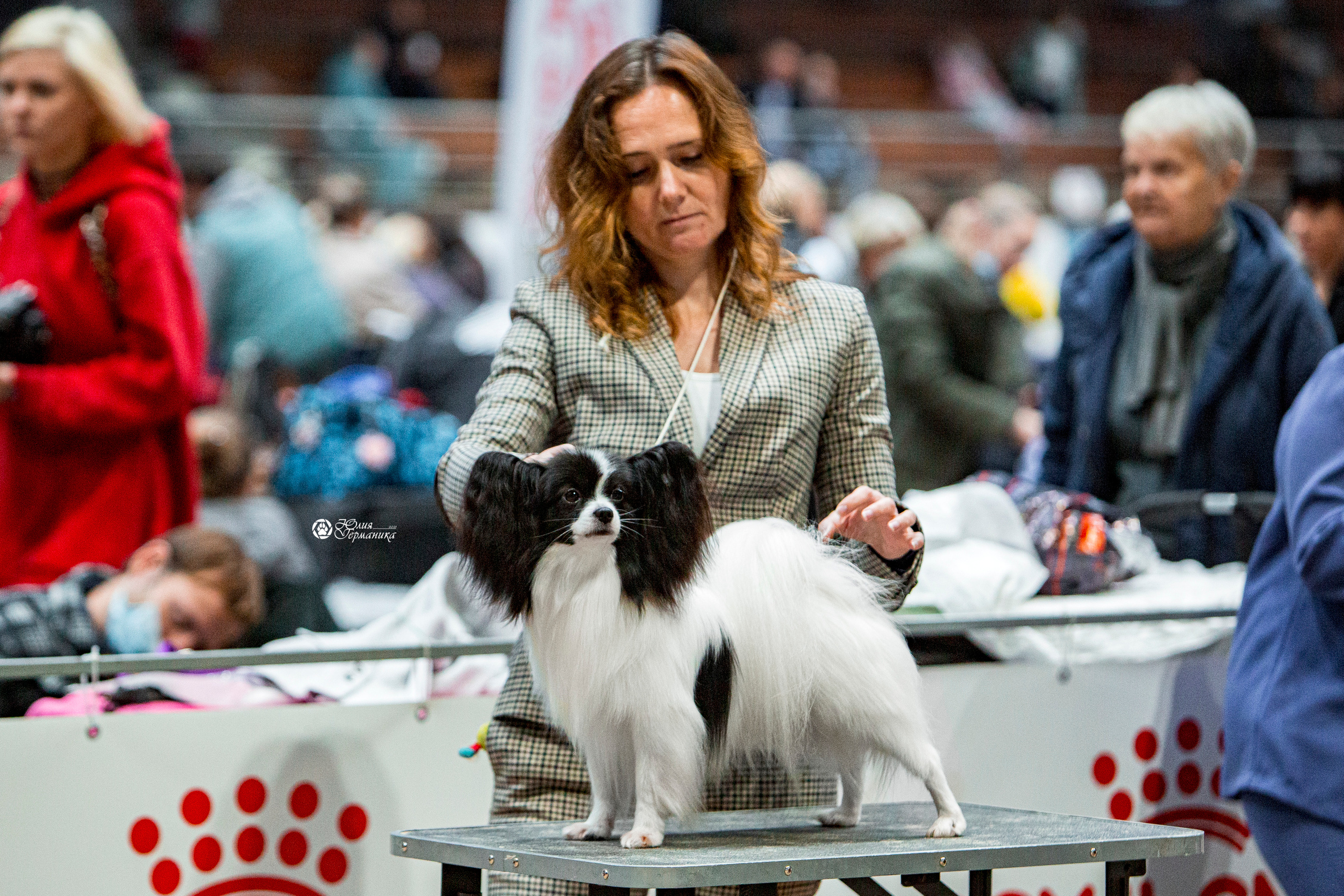 Минск 2хCACIB 27-28 ноября 2021. Фотограф-анималист Юлия Германика