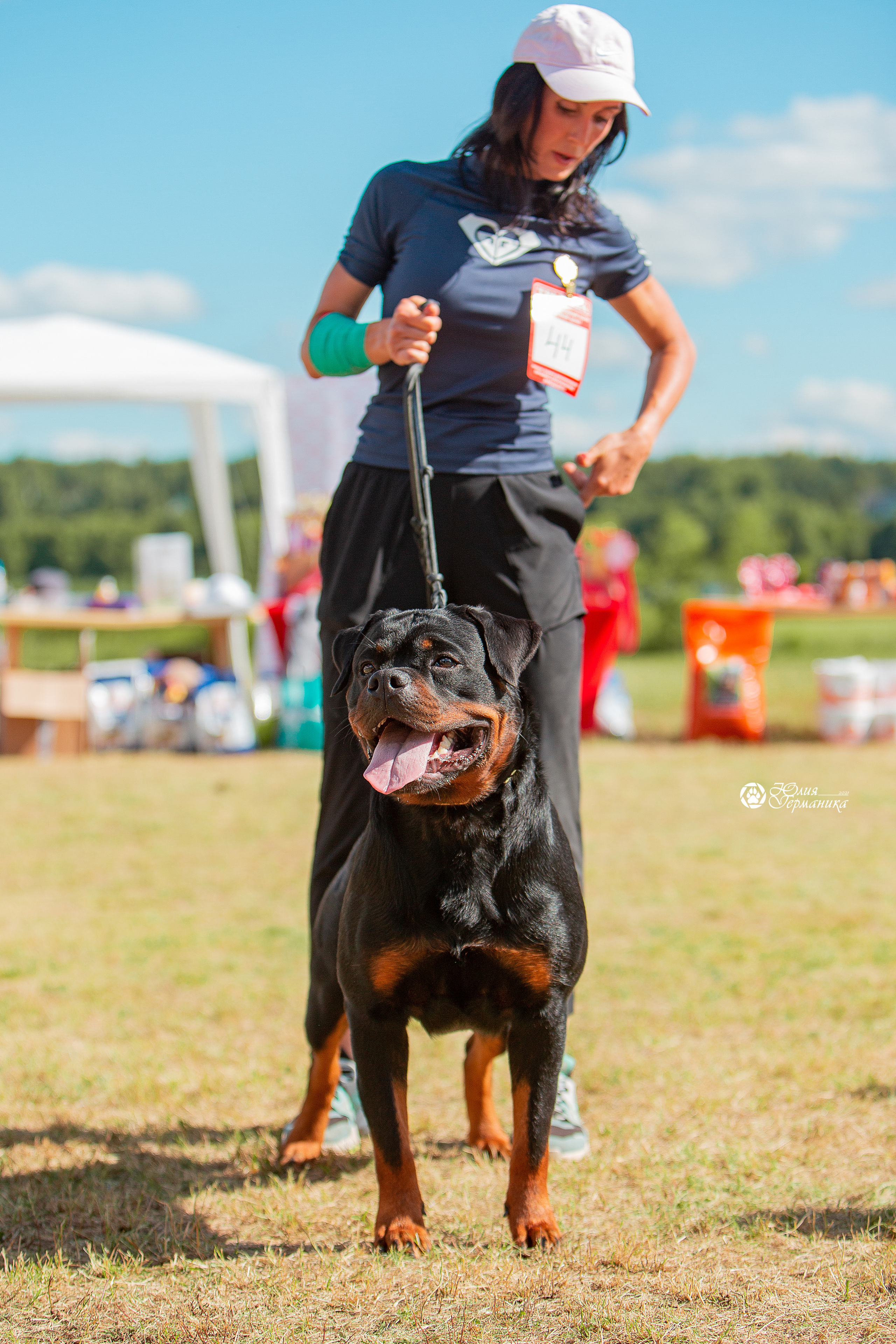 Тверь моно ротвейлеров 3-4 июля 2021. Фотограф-анималист Юлия Германика