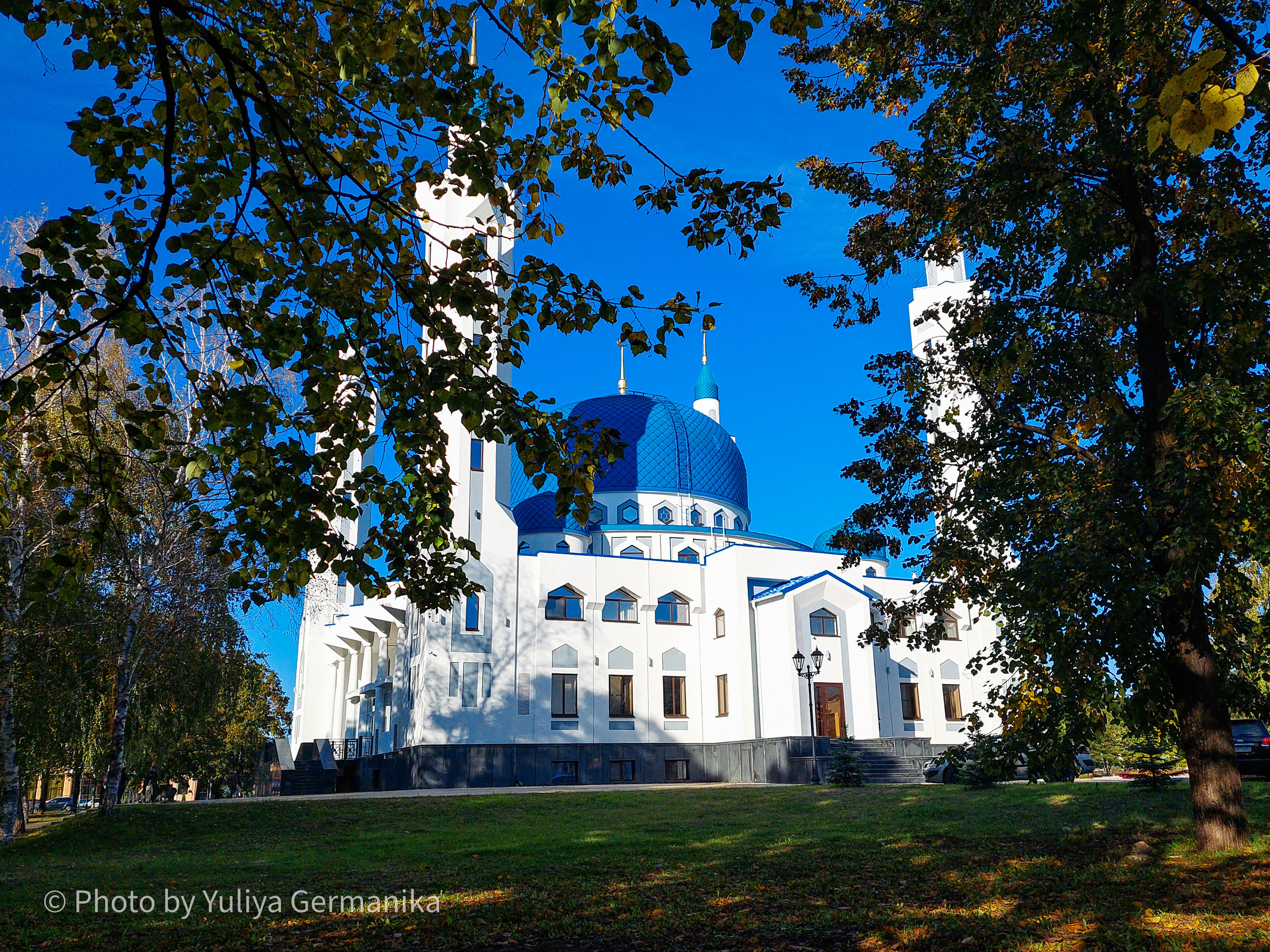 Разные фото на телефон.Города,природа. Фотограф-анималист Юлия Германика