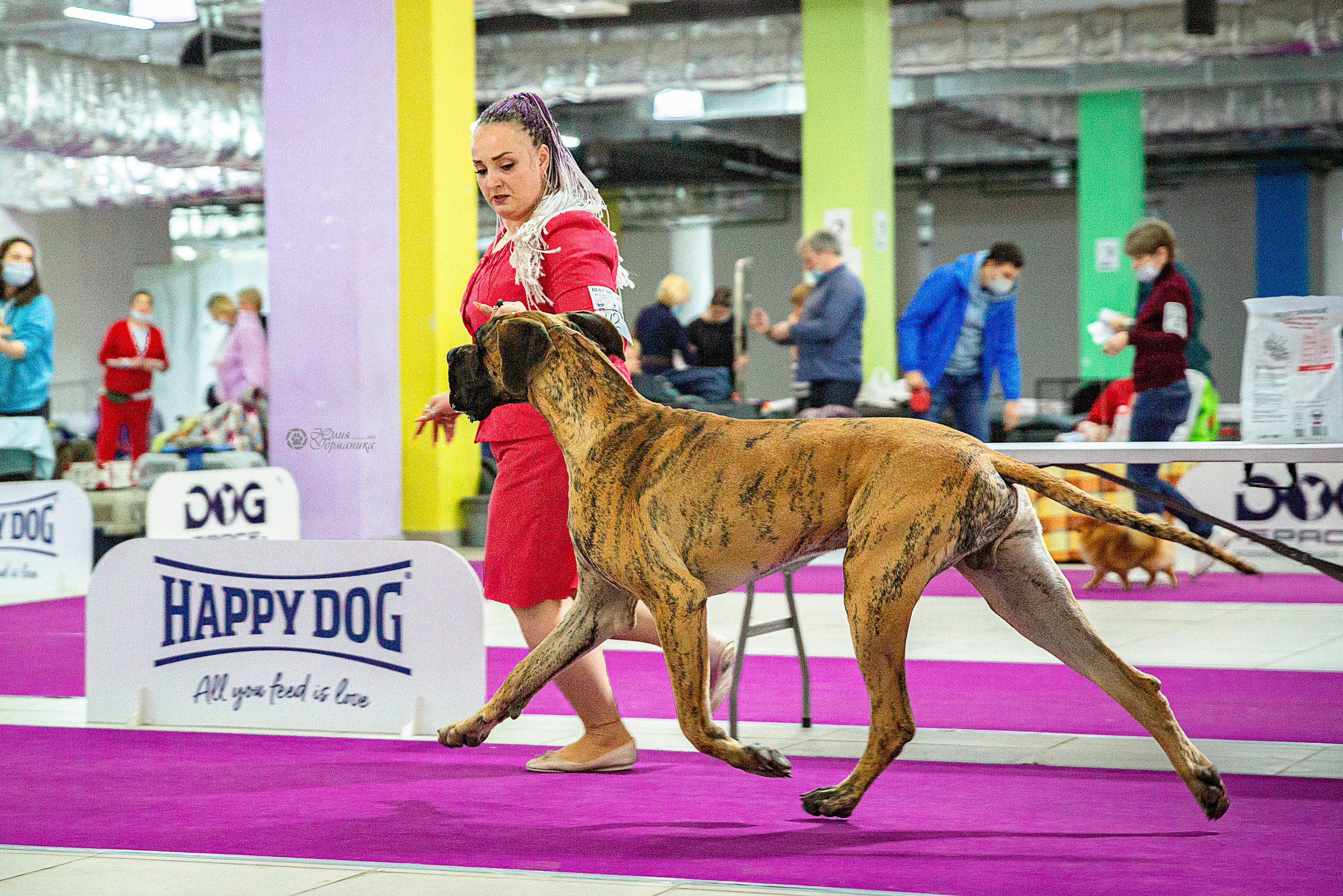 Чайник  13-14 ноября 2021. Фотограф-анималист Юлия Германика