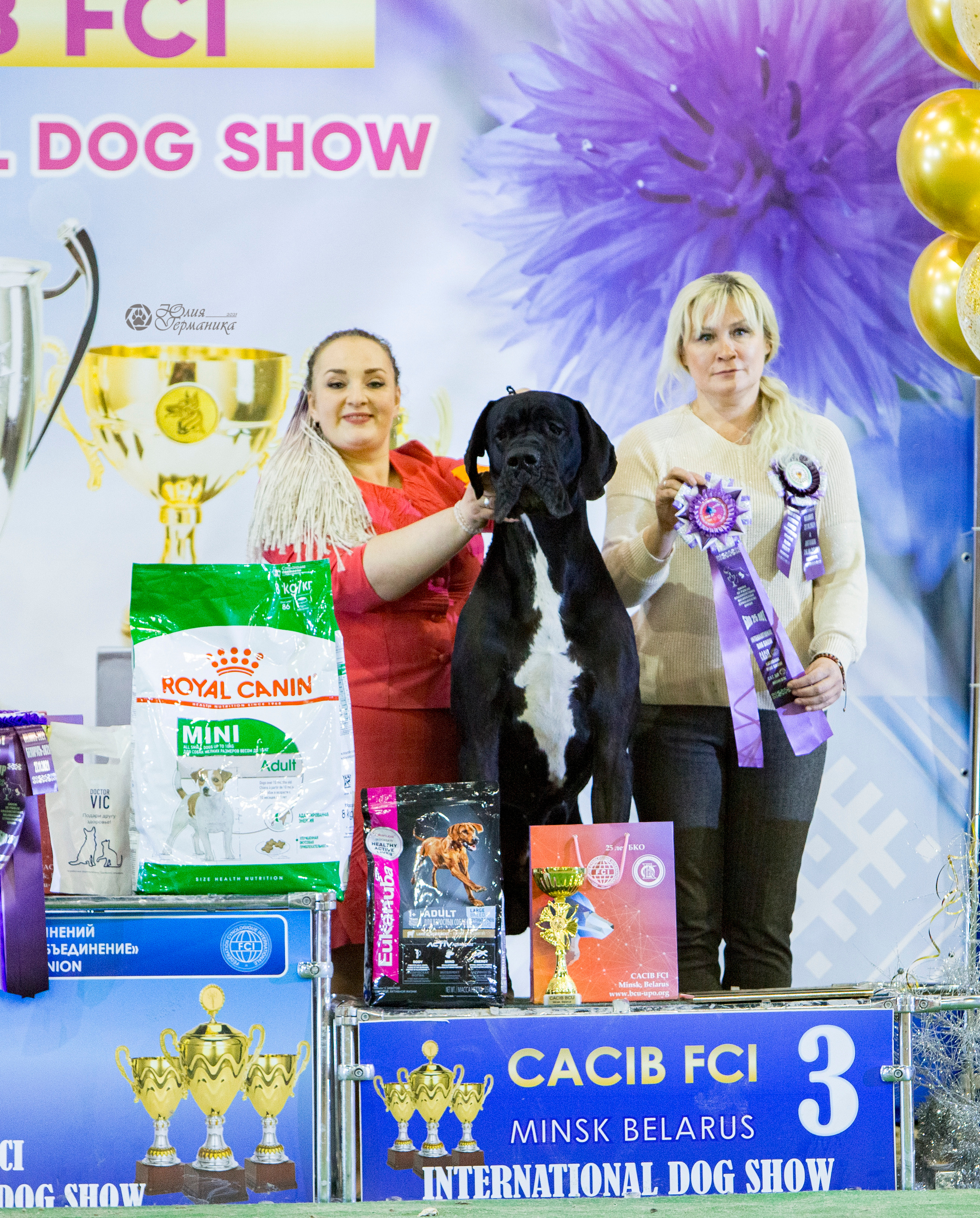 Минск 2хCACIB 27-28 ноября 2021. Фотограф-анималист Юлия Германика