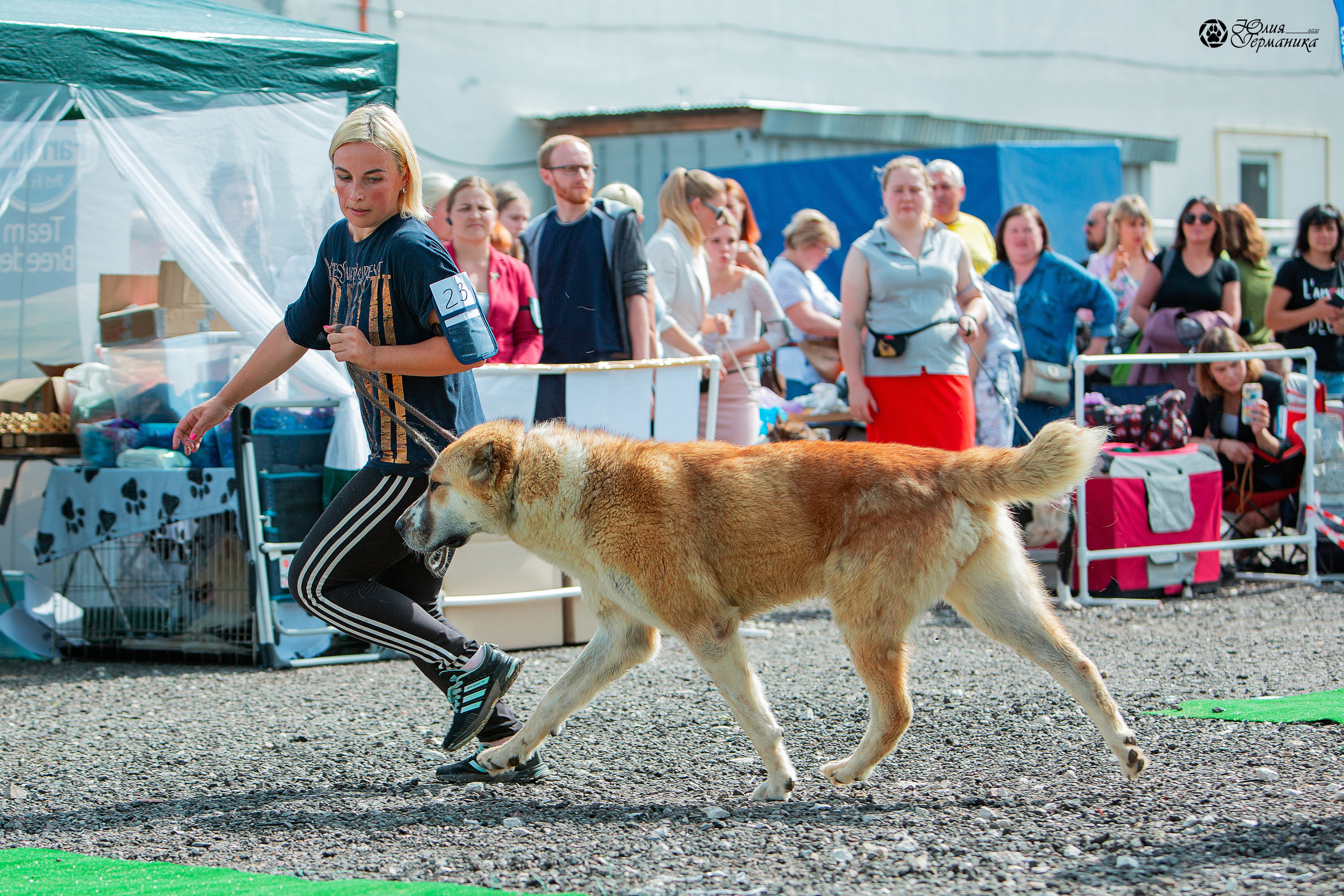 Коломна моно САО 1 августа 2021. Фотограф-анималист Юлия Германика