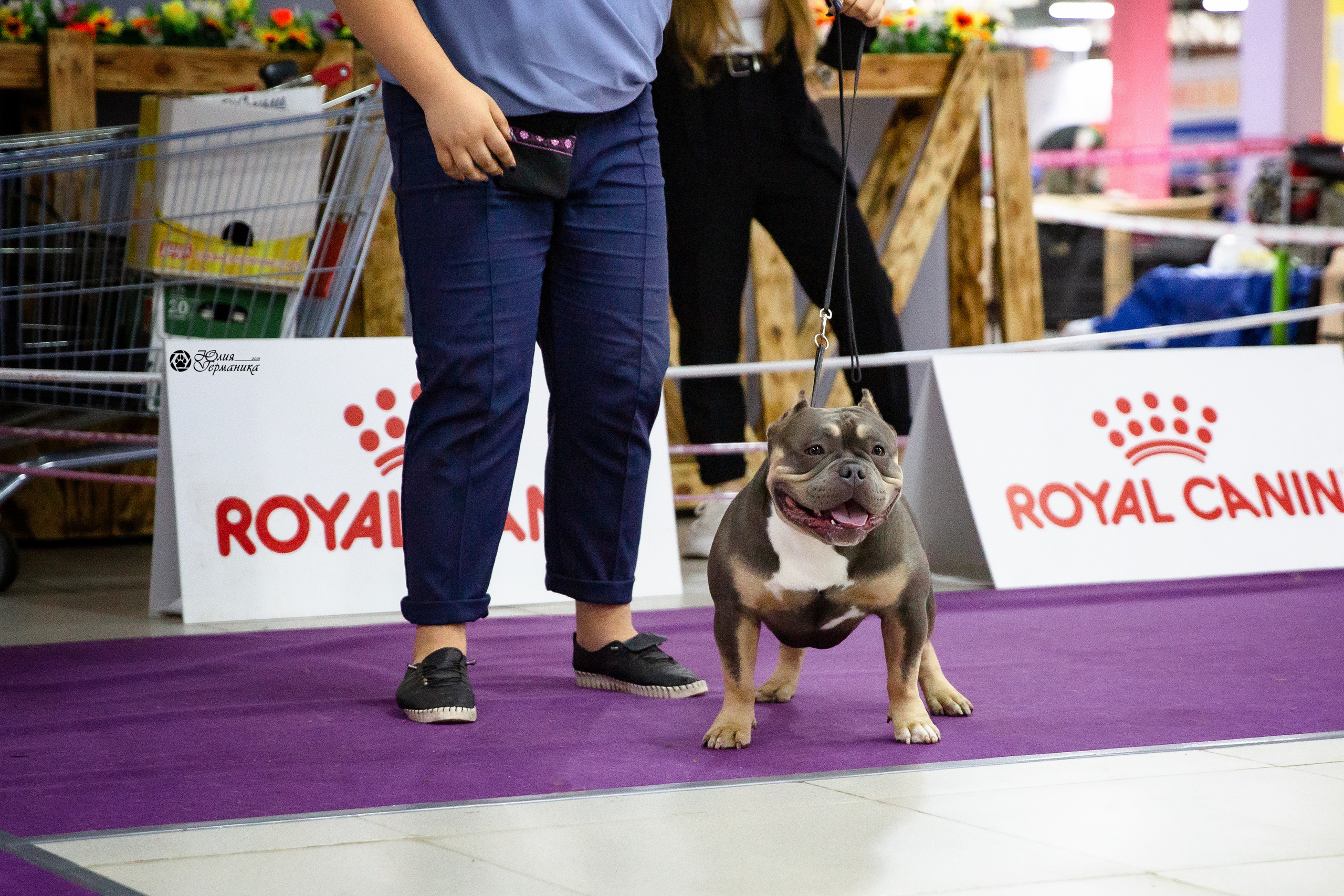 Чайна-Таун 2021. Фотограф-анималист Юлия Германика