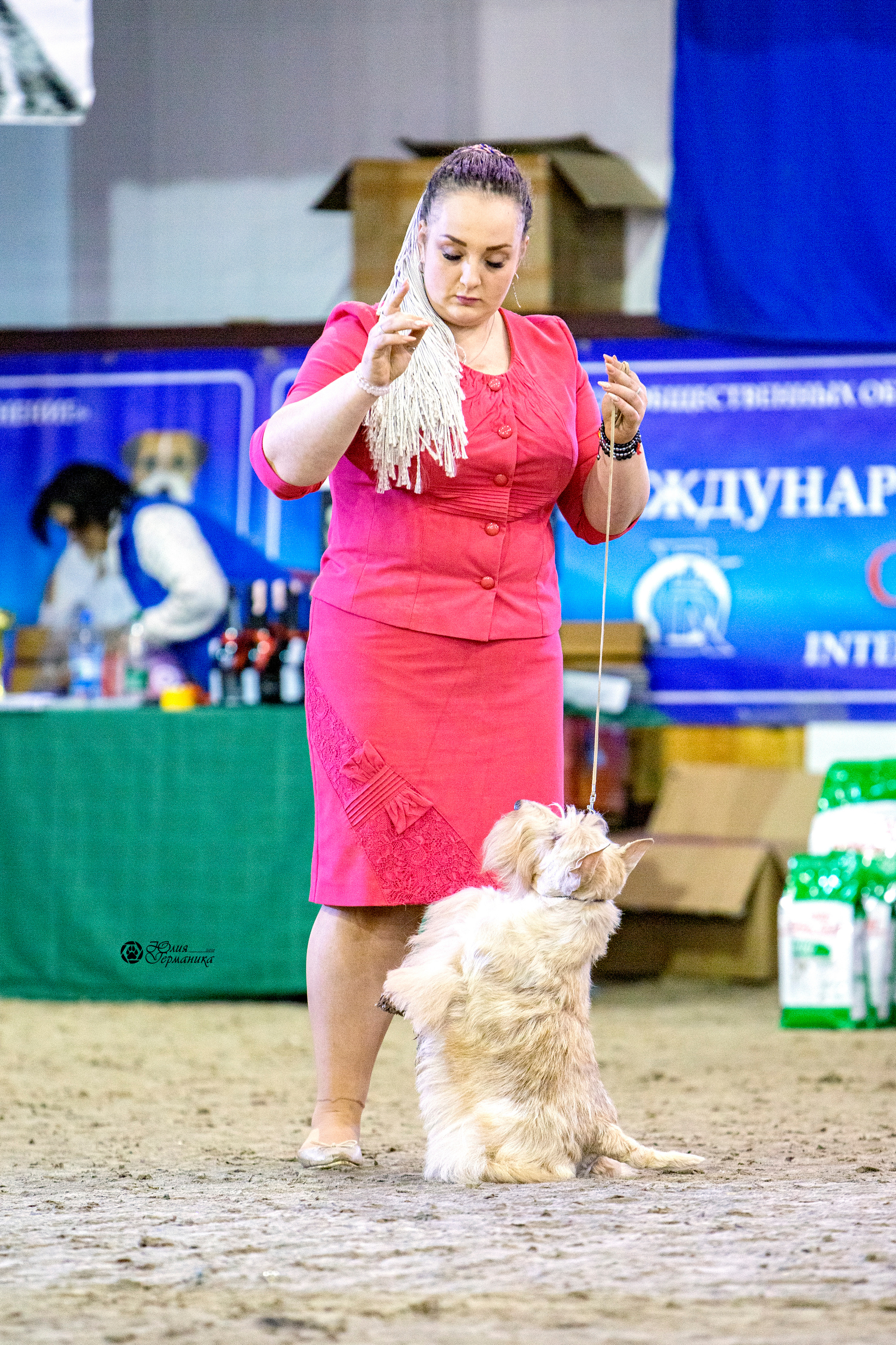 Минск 2хCACIB 27-28 ноября 2021. Фотограф-анималист Юлия Германика