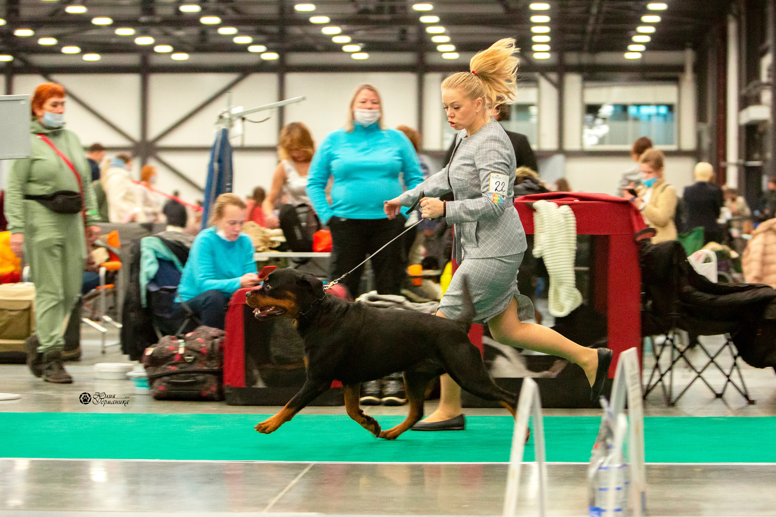 Санкт-Петербург 3хCACIB 10-12 декабря 2021. Фотограф-анималист Юлия Германика