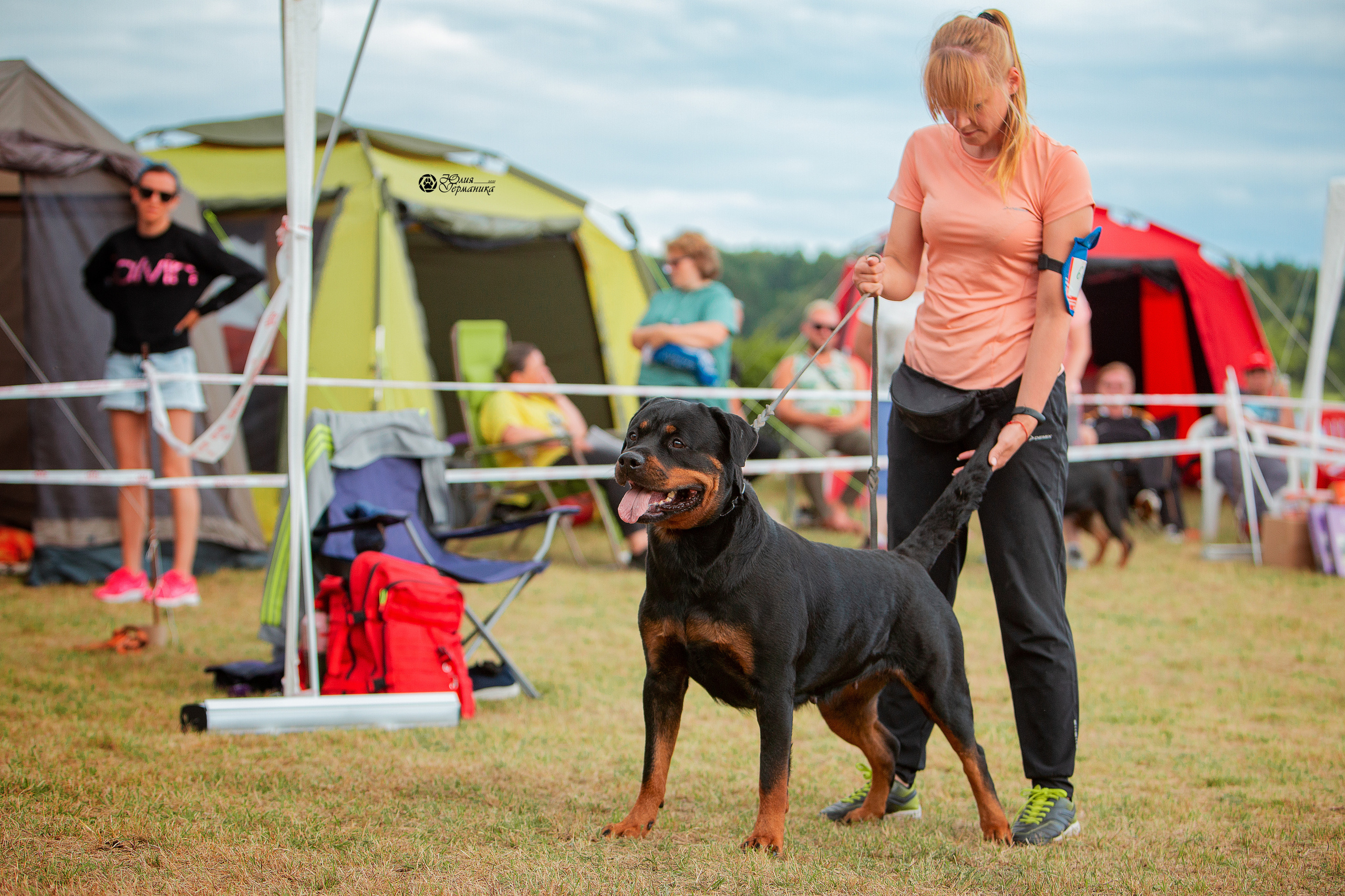 Тверь моно ротвейлеров 3-4 июля 2021. Фотограф-анималист Юлия Германика