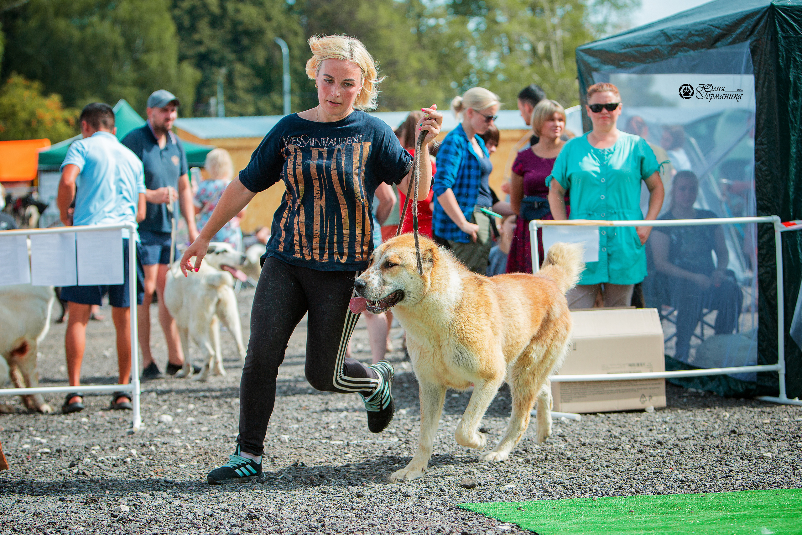 Коломна моно САО 1 августа 2021. Фотограф-анималист Юлия Германика