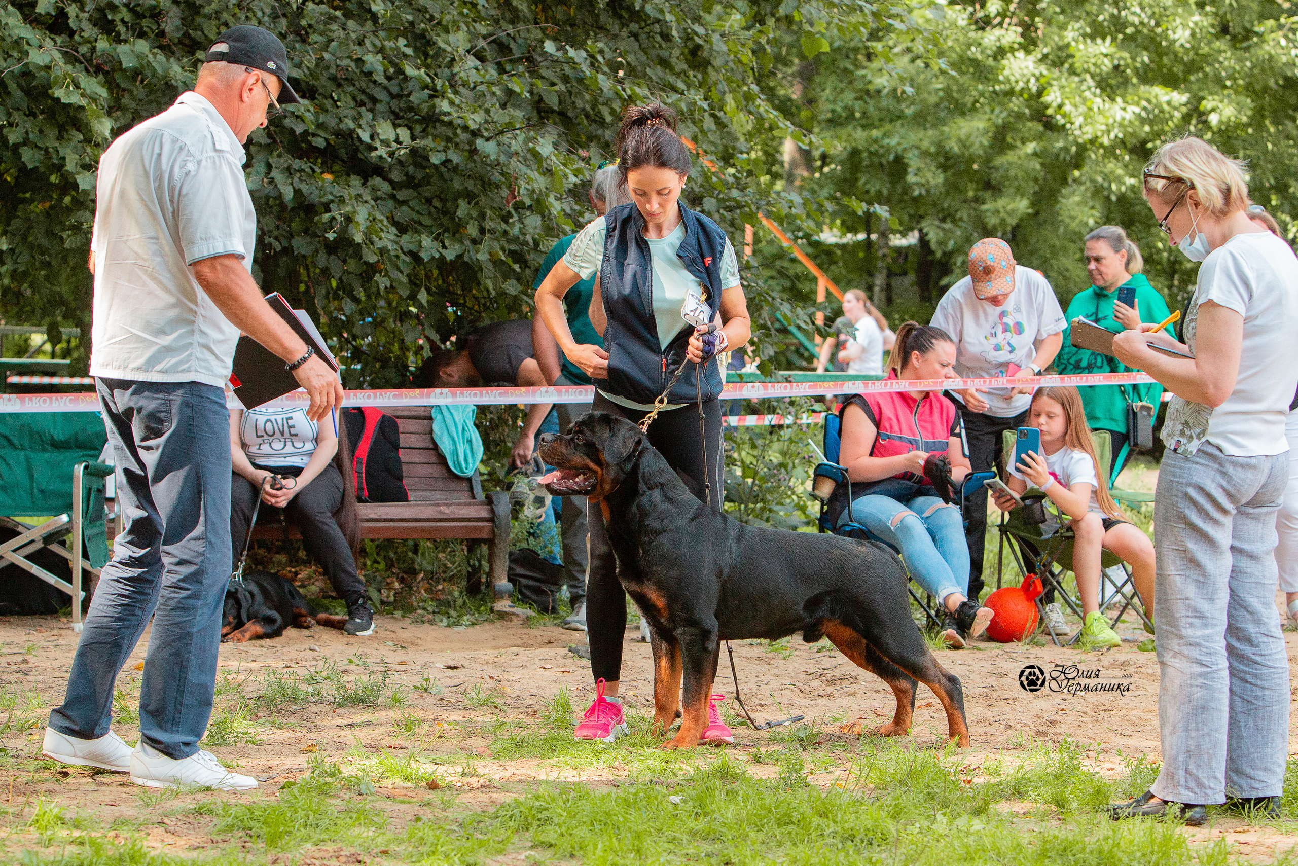 Рязань,Ховрино 14-15 августа 2021 моно ротвейлеров. Фотограф-анималист Юлия Германика