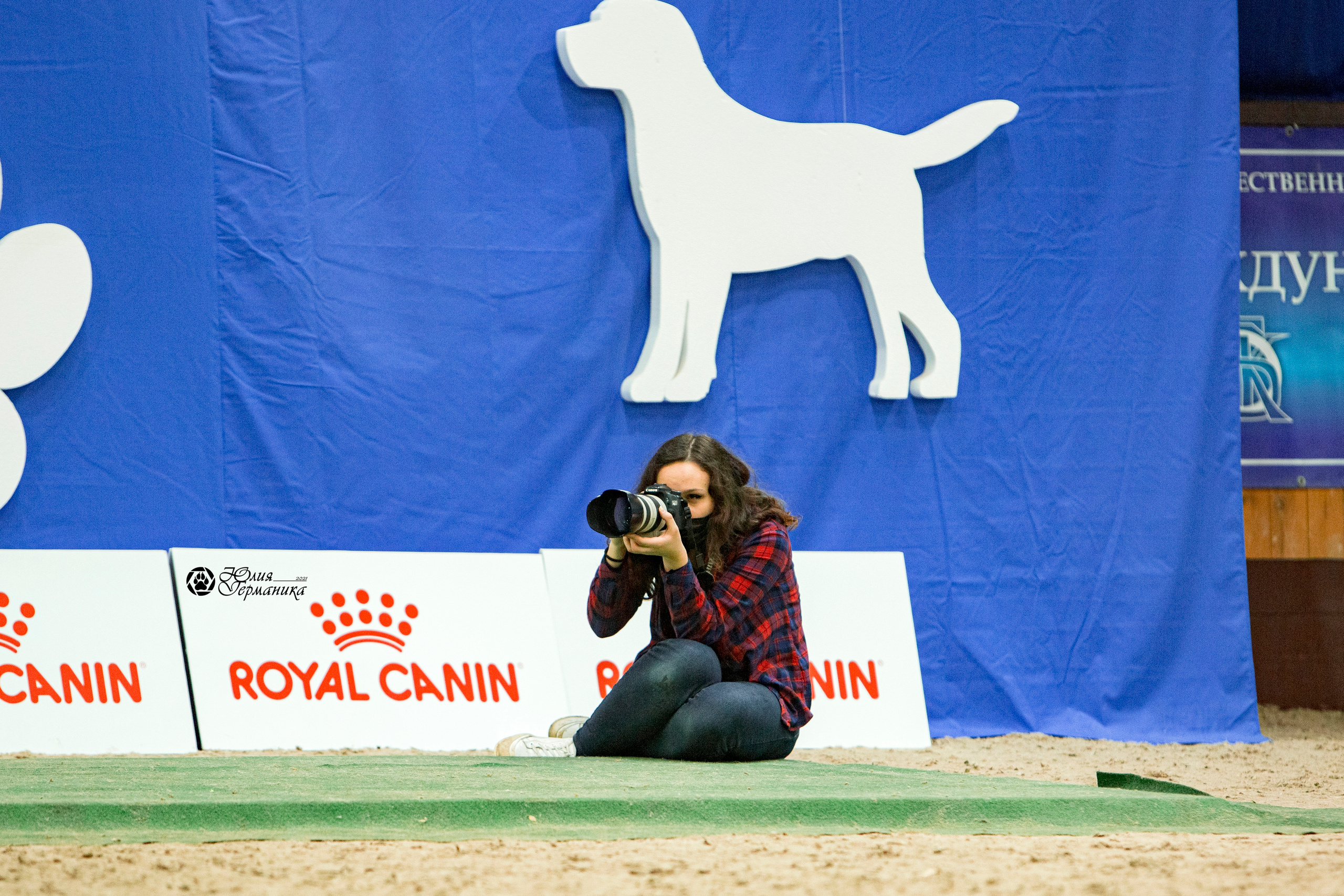 Минск 2хCACIB 27-28 ноября 2021. Фотограф-анималист Юлия Германика