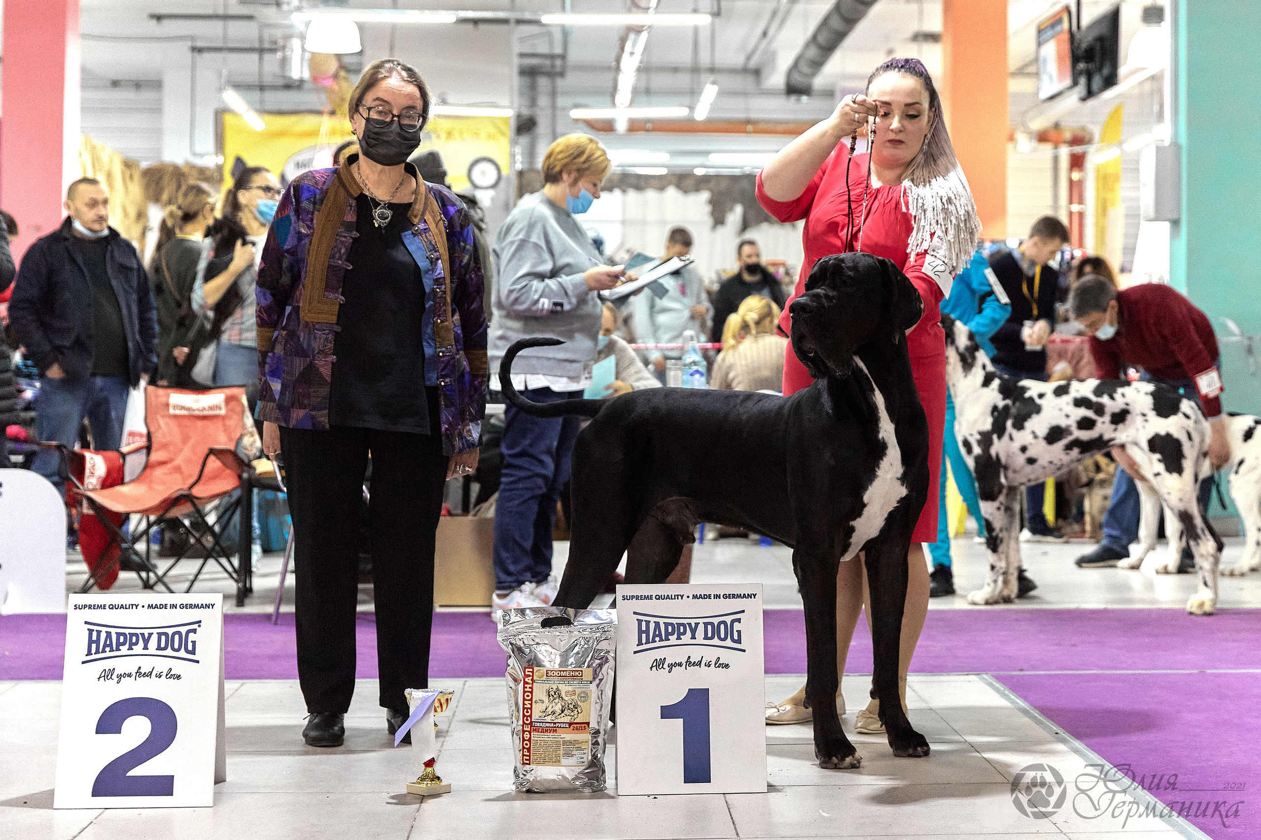 Чайник  13-14 ноября 2021. Фотограф-анималист Юлия Германика