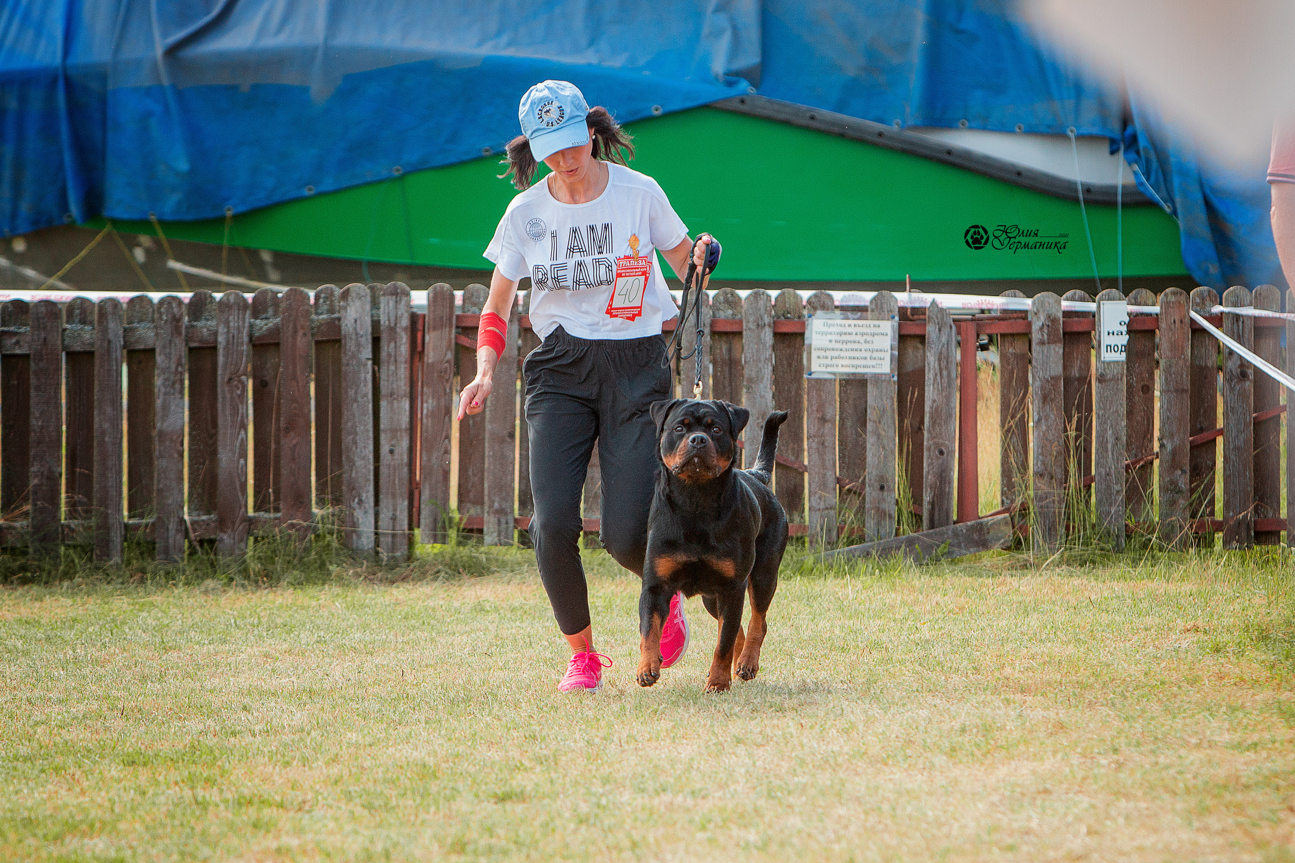 Тверь моно ротвейлеров 3-4 июля 2021. Фотограф-анималист Юлия Германика