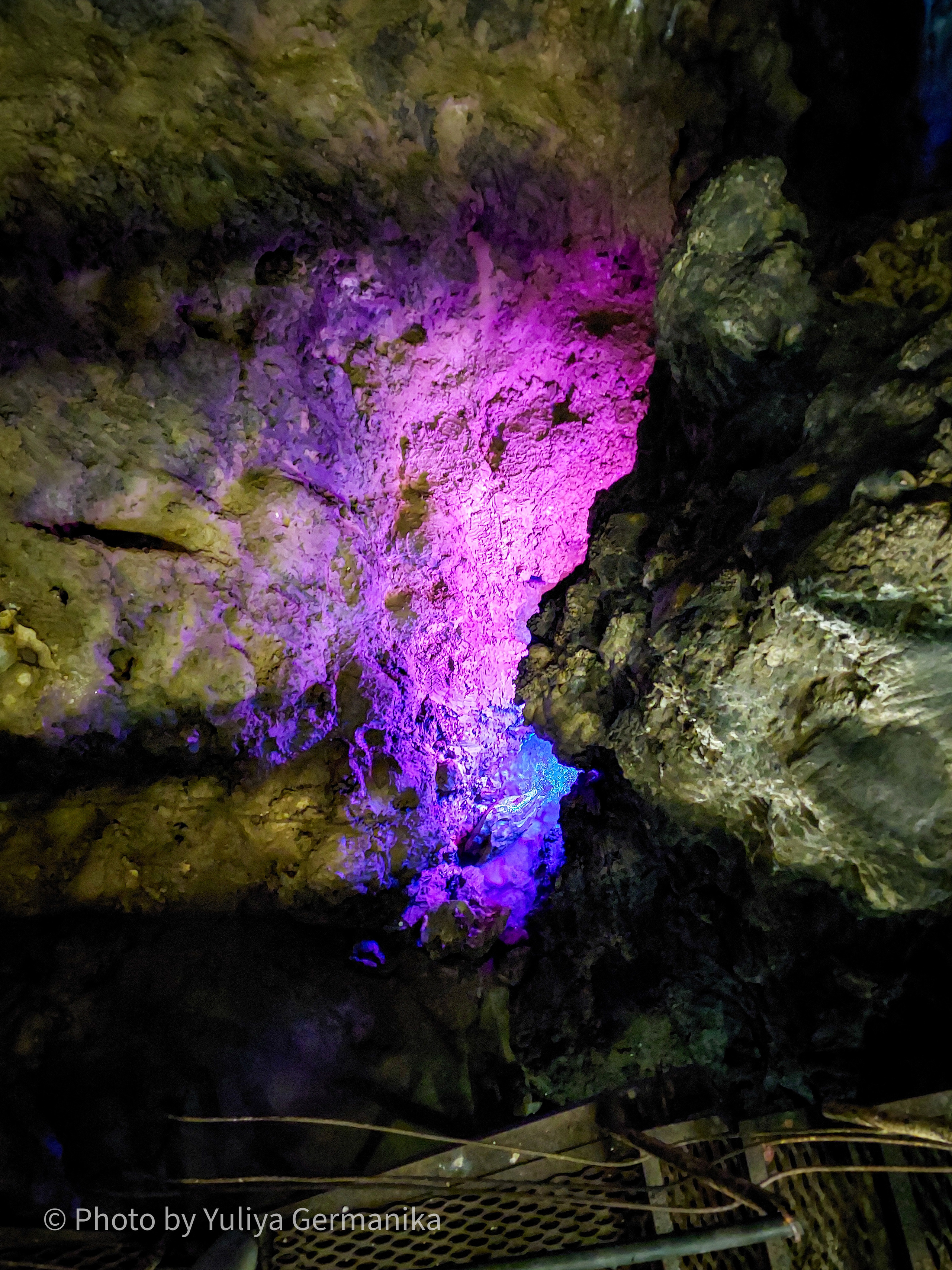 Разные фото на телефон.Города,природа. Фотограф-анималист Юлия Германика