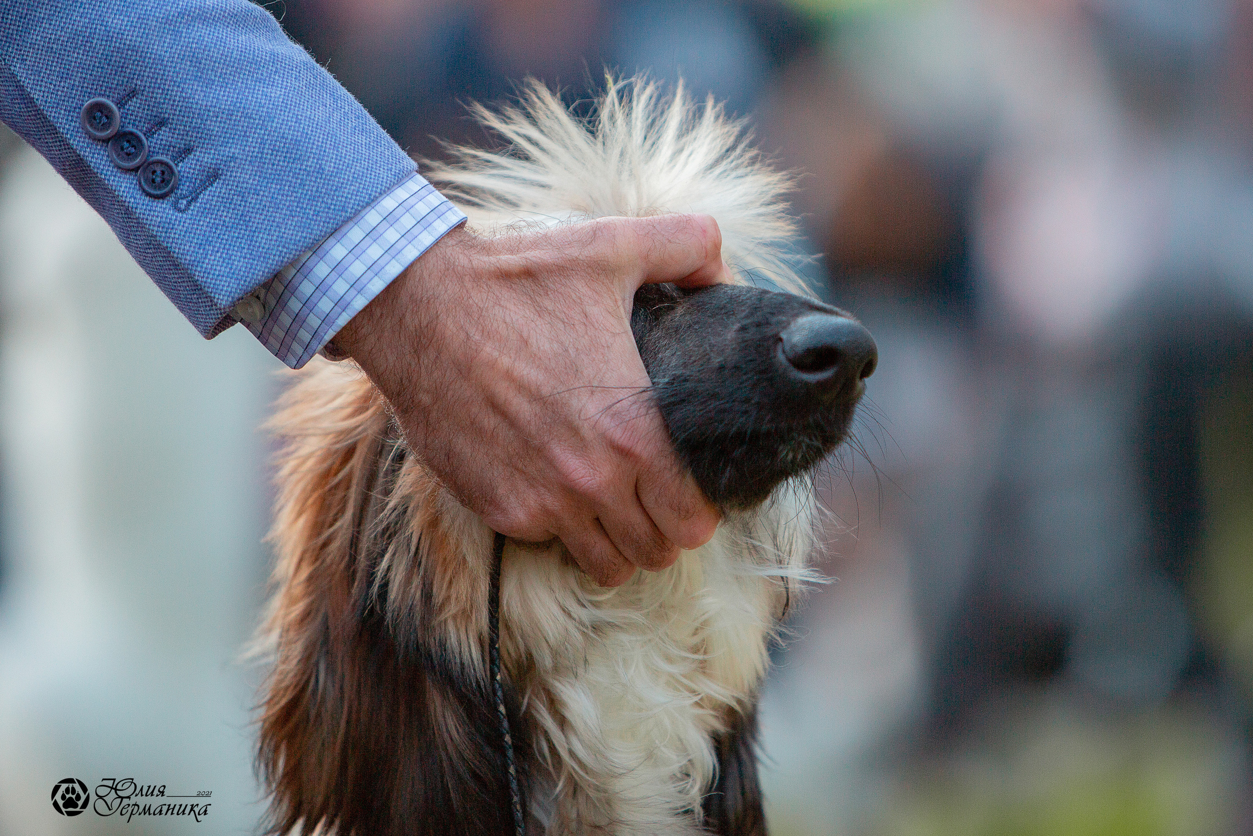 Псков 2xСАСIB 18-19 сентября 2021. Фотограф-анималист Юлия Германика