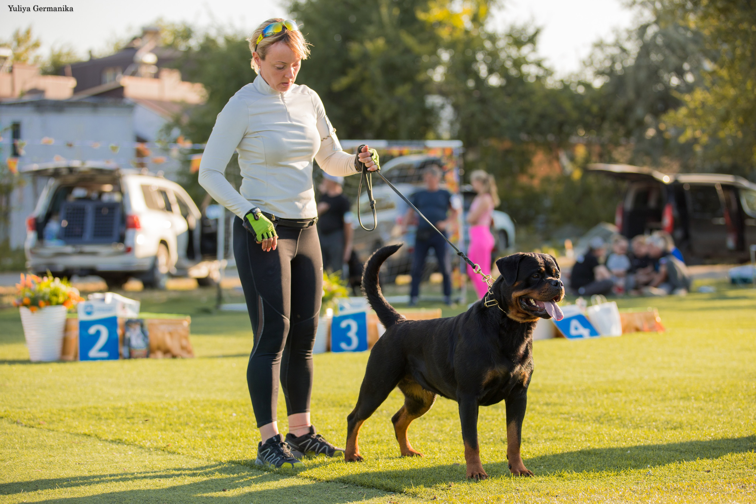Анапа 16-17.09.2023 моно ротвейлеров. Фотограф-анималист Юлия Германика