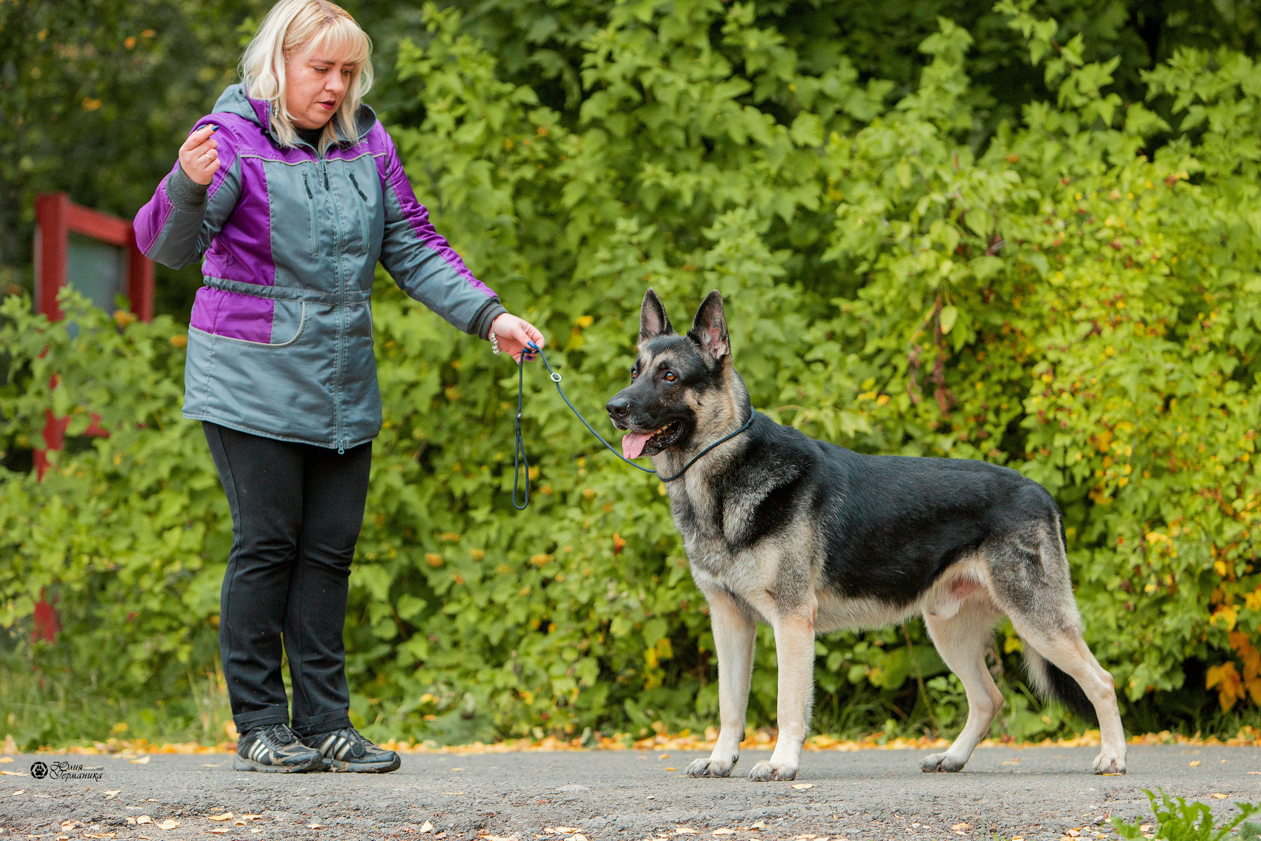 Свободная съемка. Фотограф-анималист Юлия Германика