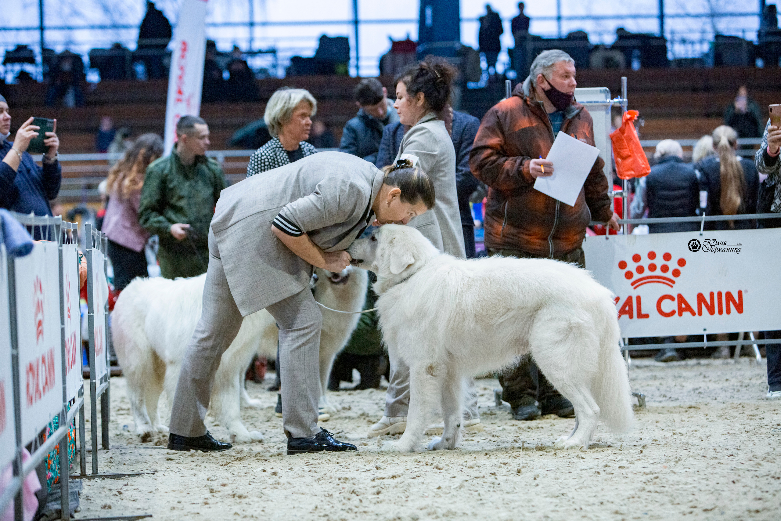 Минск 2хCACIB 27-28 ноября 2021. Фотограф-анималист Юлия Германика