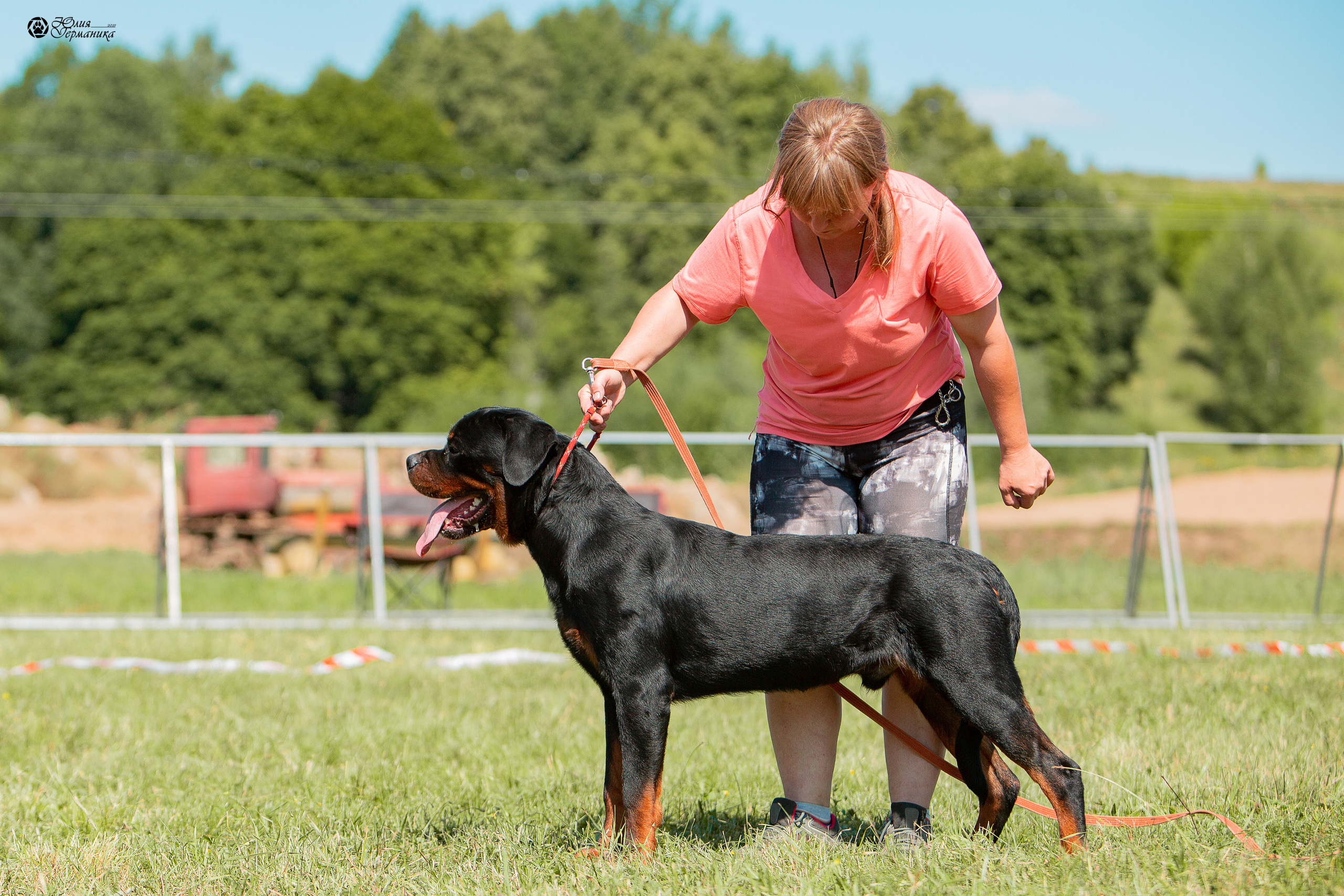 Монопородные выставки. Фотограф-анималист Юлия Германика