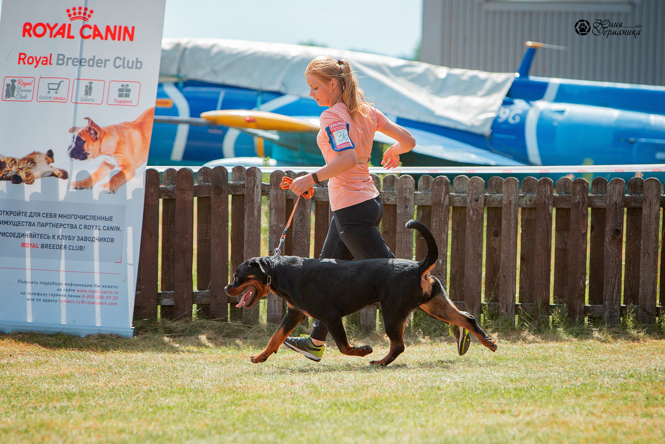 Тверь моно ротвейлеров 3-4 июля 2021. Фотограф-анималист Юлия Германика