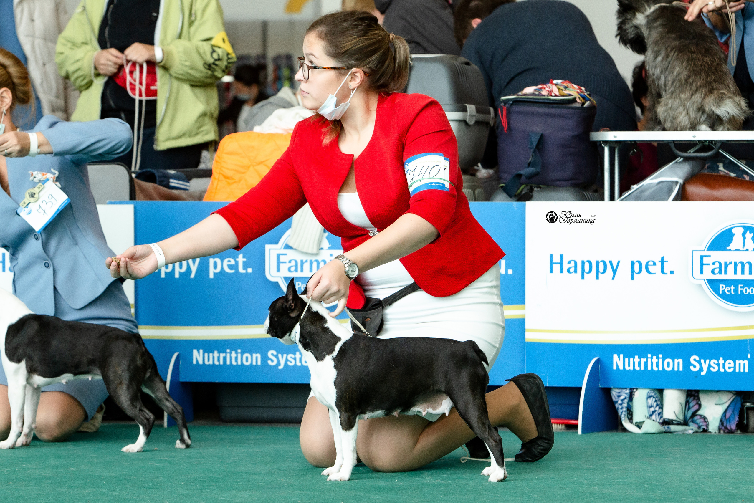 Нижний Новгород 3хCACIB 15-17 октября 2021. Фотограф-анималист Юлия Германика