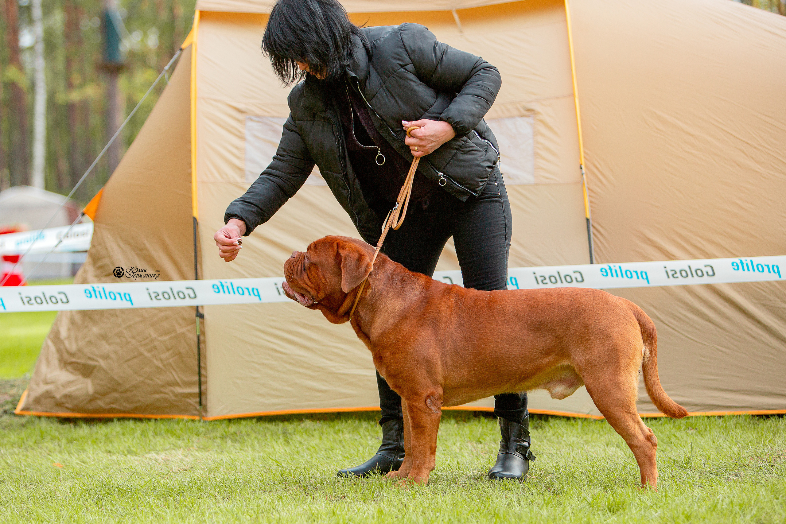 Псков 2xСАСIB 18-19 сентября 2021. Фотограф-анималист Юлия Германика