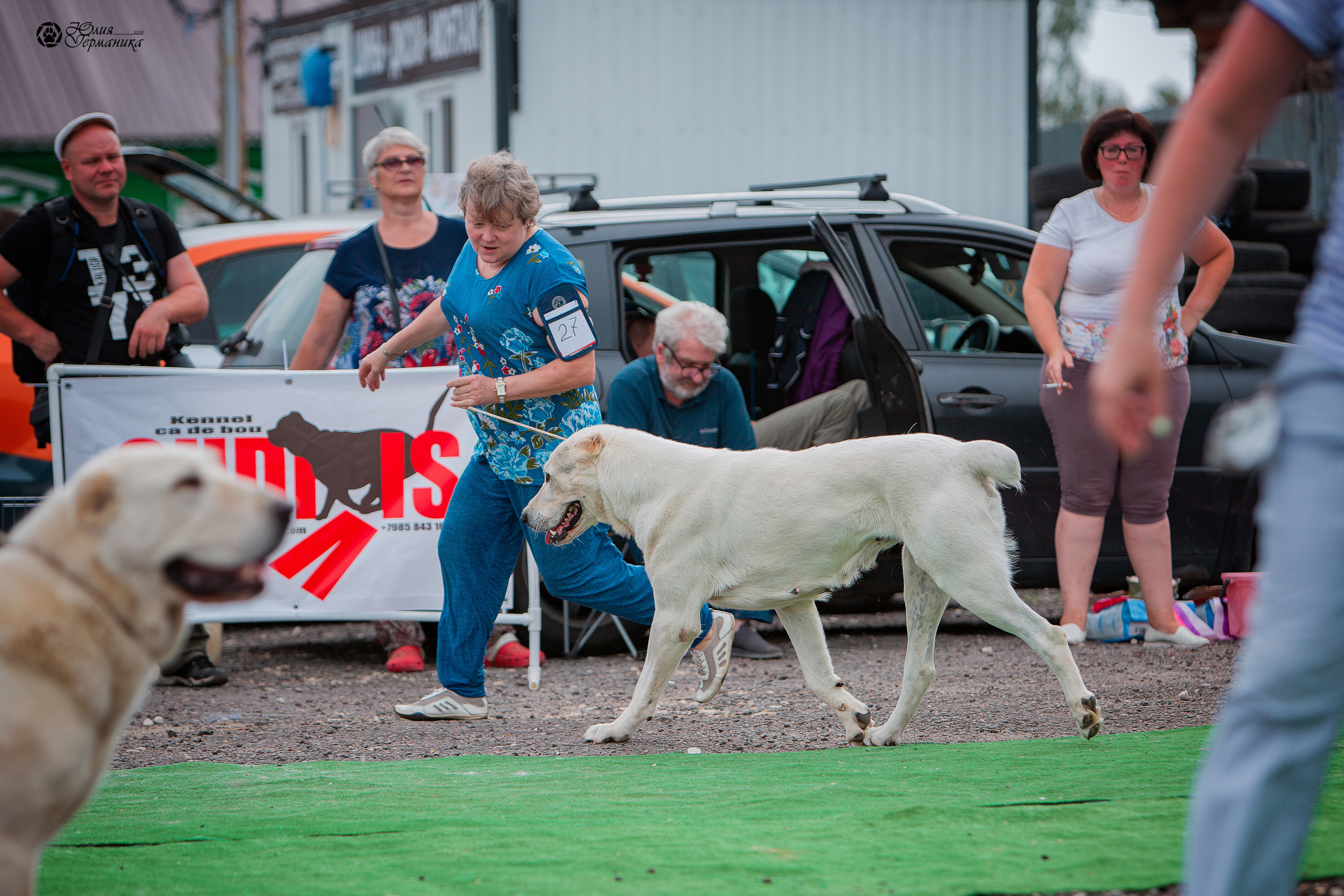 Коломна моно САО 1 августа 2021. Фотограф-анималист Юлия Германика