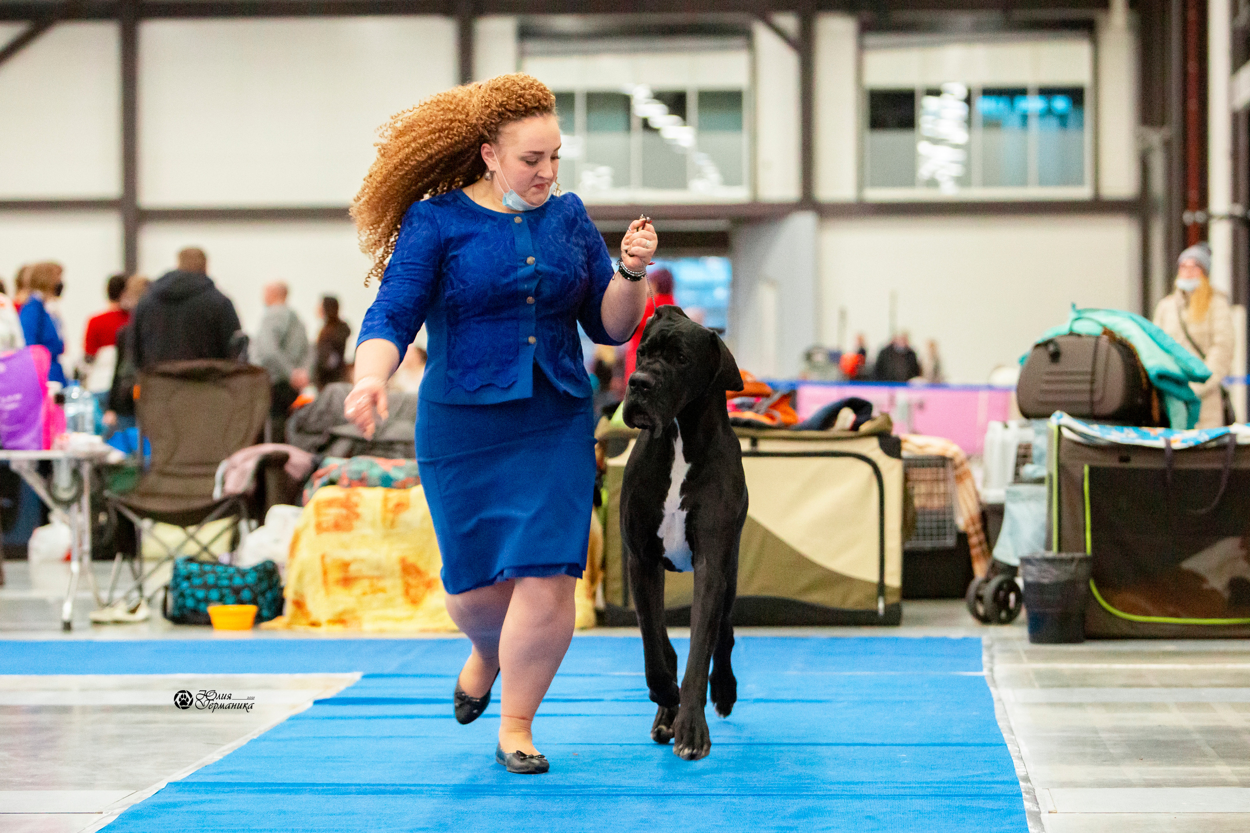 Санкт-Петербург 3хCACIB 10-12 декабря 2021. Фотограф-анималист Юлия Германика