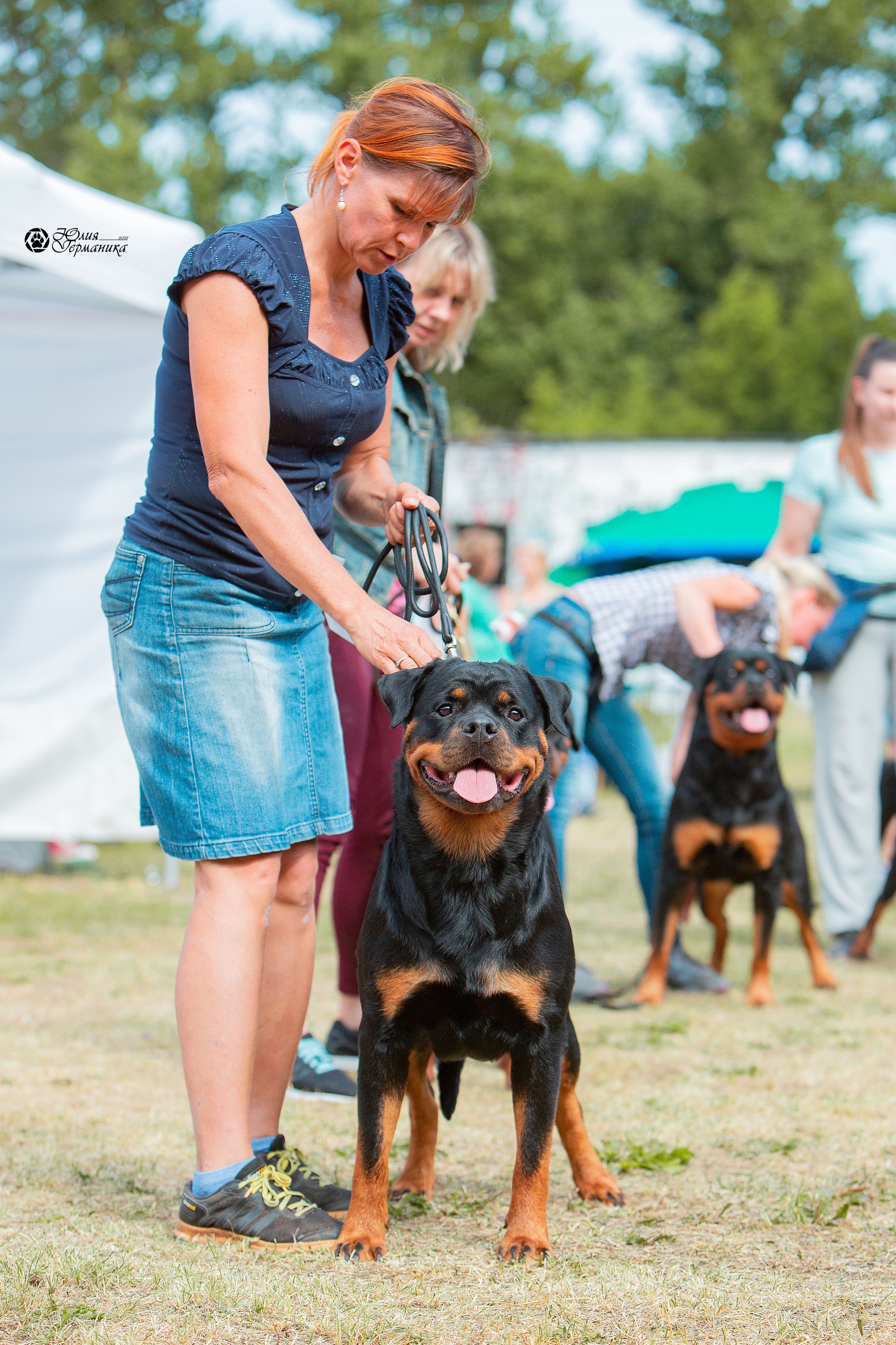 Монопородная выставка ротвейлеров Питер. Фотограф-анималист Юлия Германика