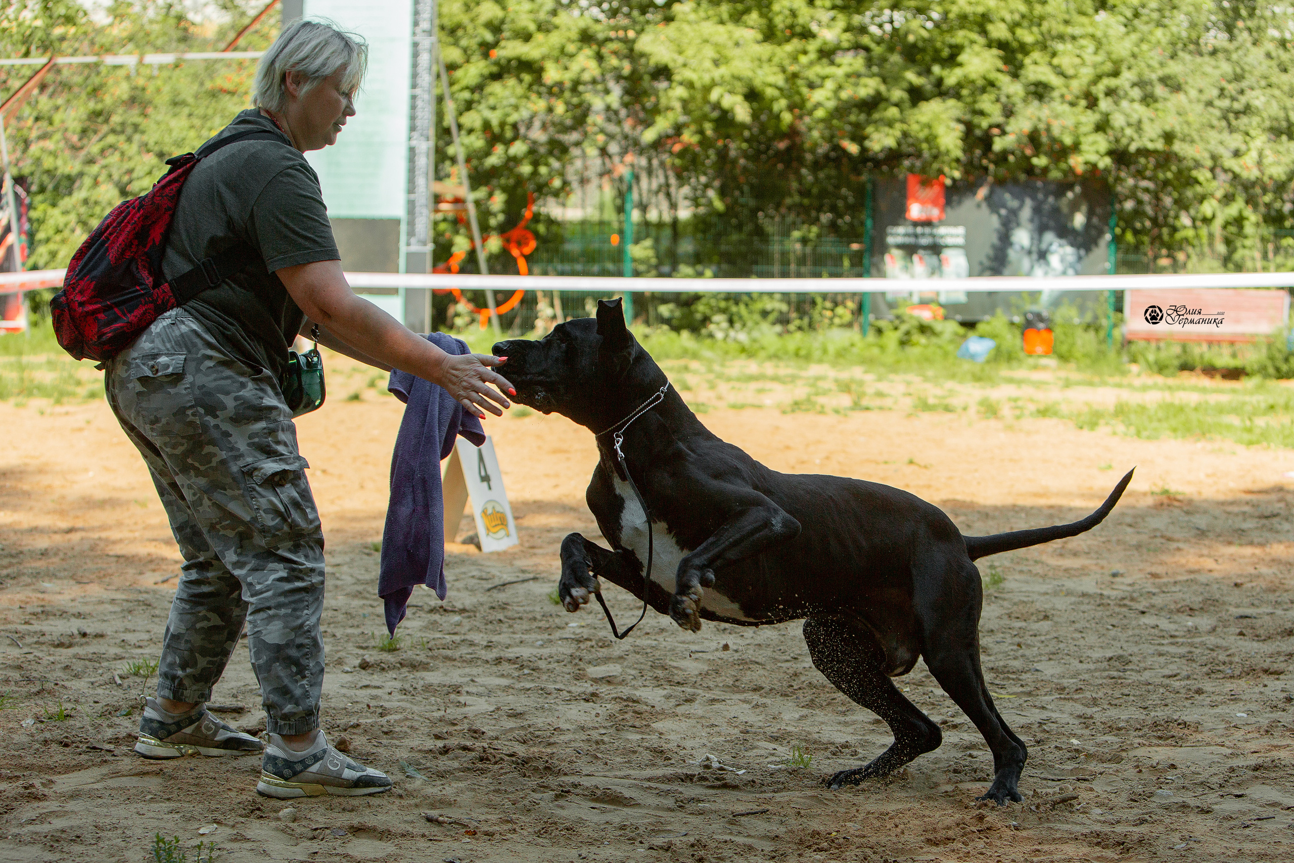 Ховрино фестиваль монопородок 15 августа 2021. Фотограф-анималист Юлия Германика