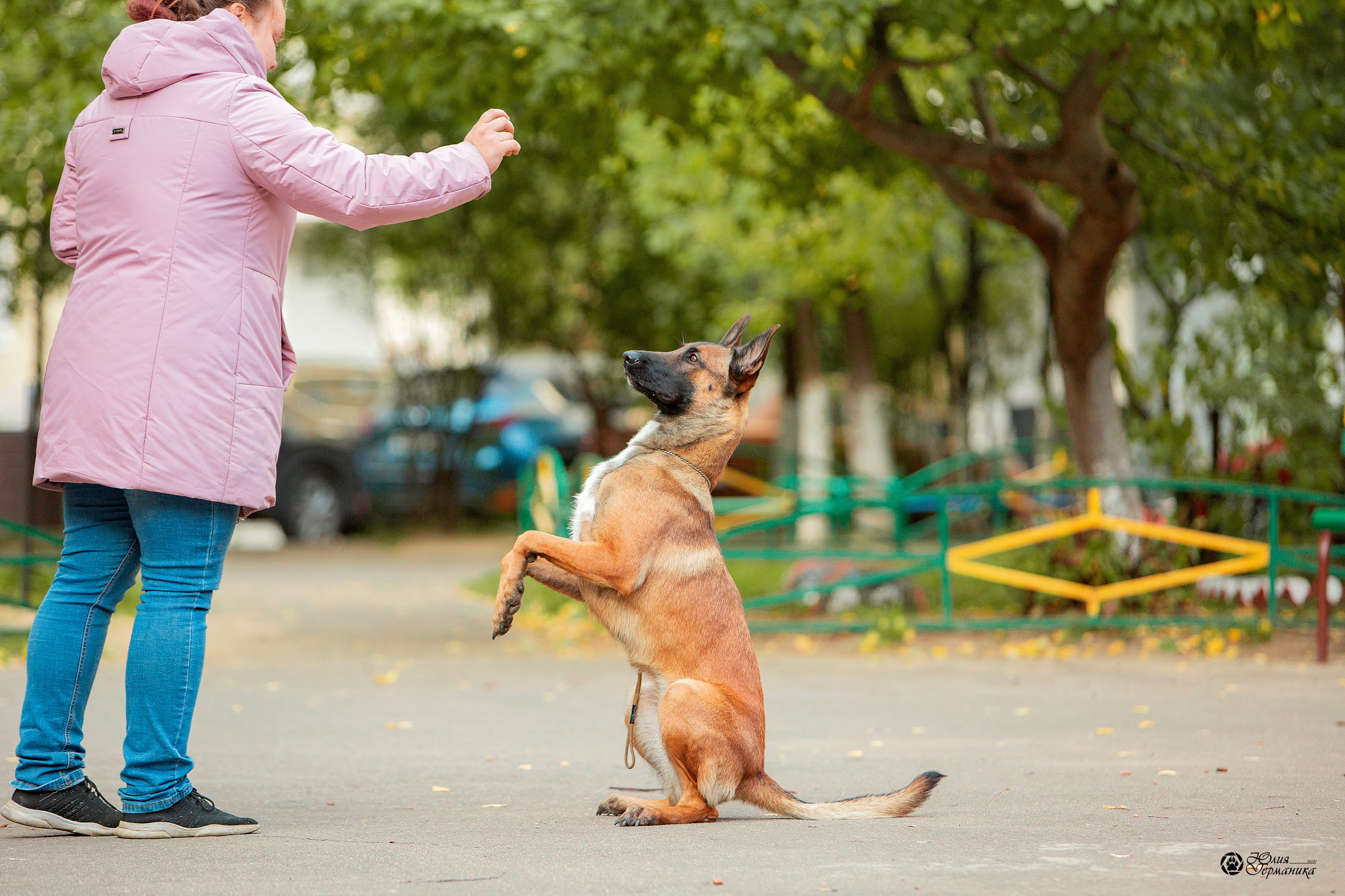 Свободная съемка. Фотограф-анималист Юлия Германика