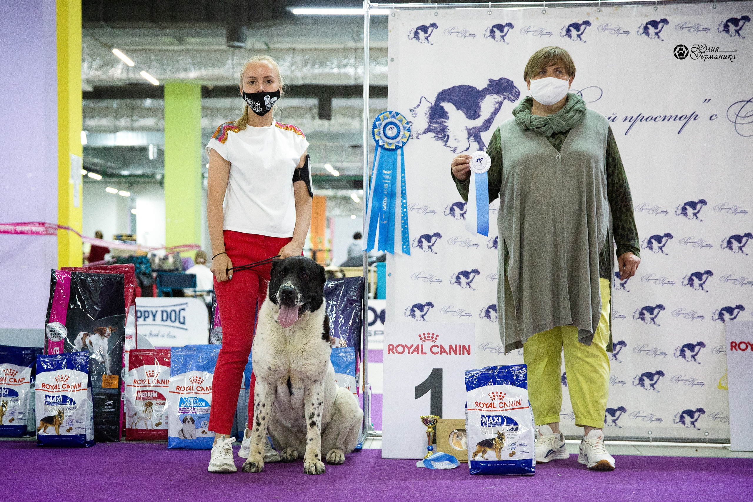 Чайна-Таун 2021. Фотограф-анималист Юлия Германика