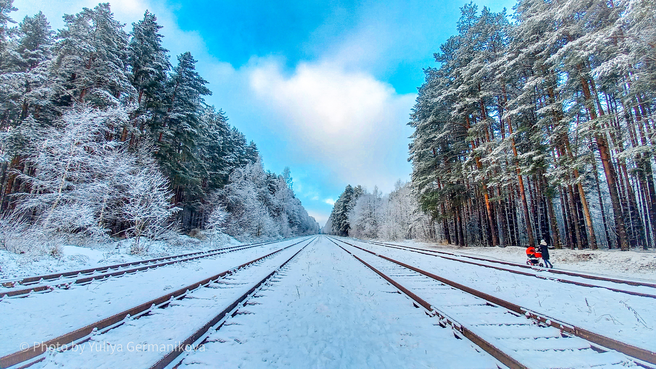 Разные фото на телефон.Города,природа. Фотограф-анималист Юлия Германика