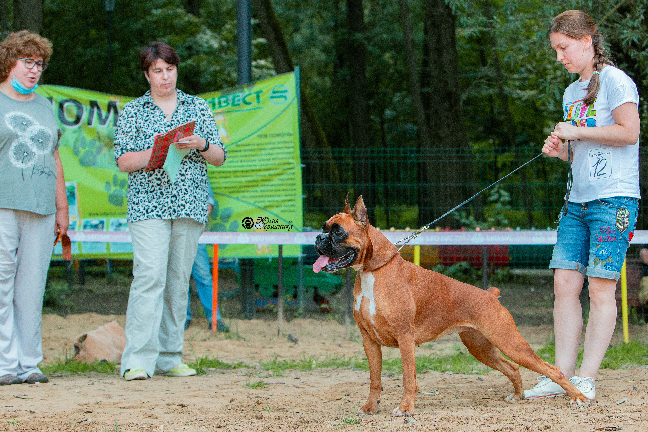Ховрино фестиваль монопородок 15 августа 2021. Фотограф-анималист Юлия Германика