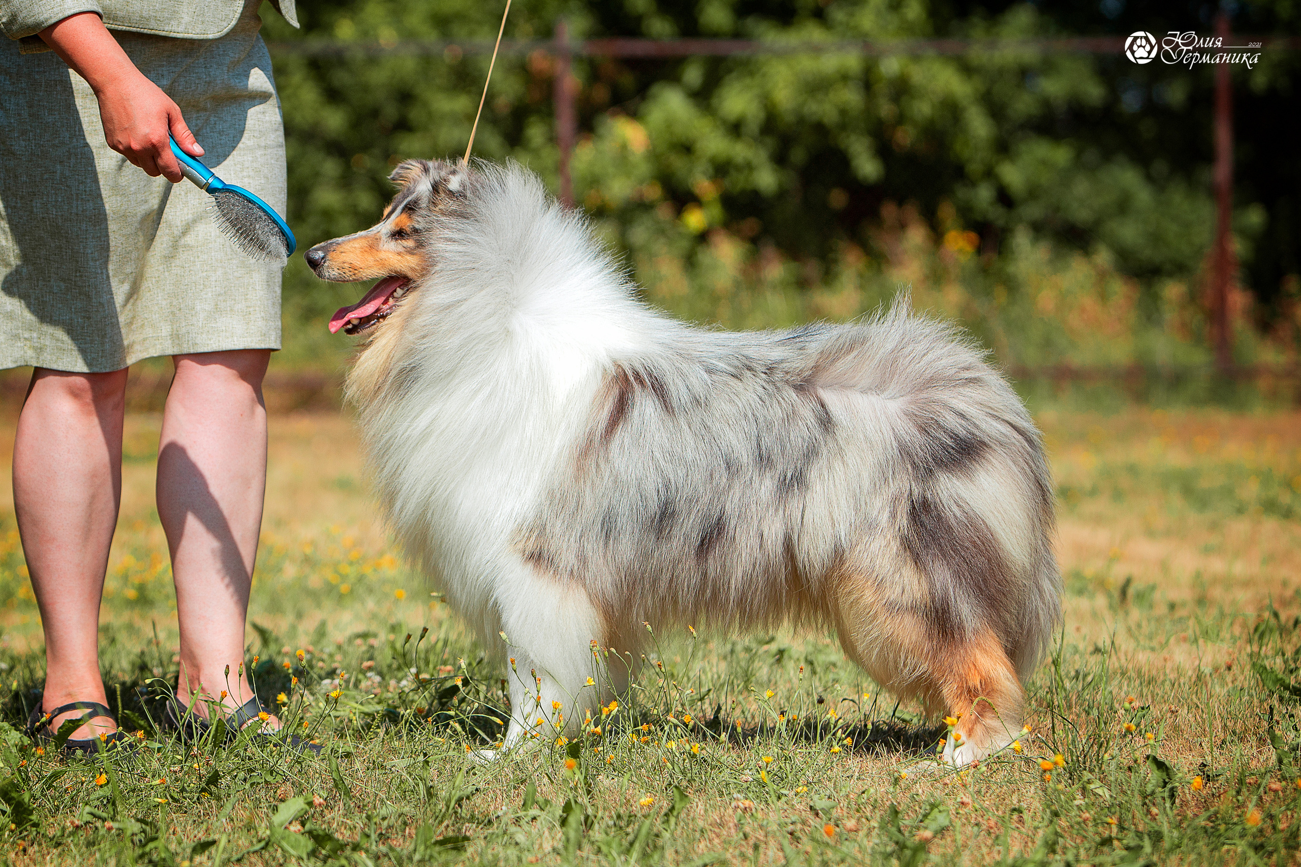 Свободная съемка. Фотограф-анималист Юлия Германика
