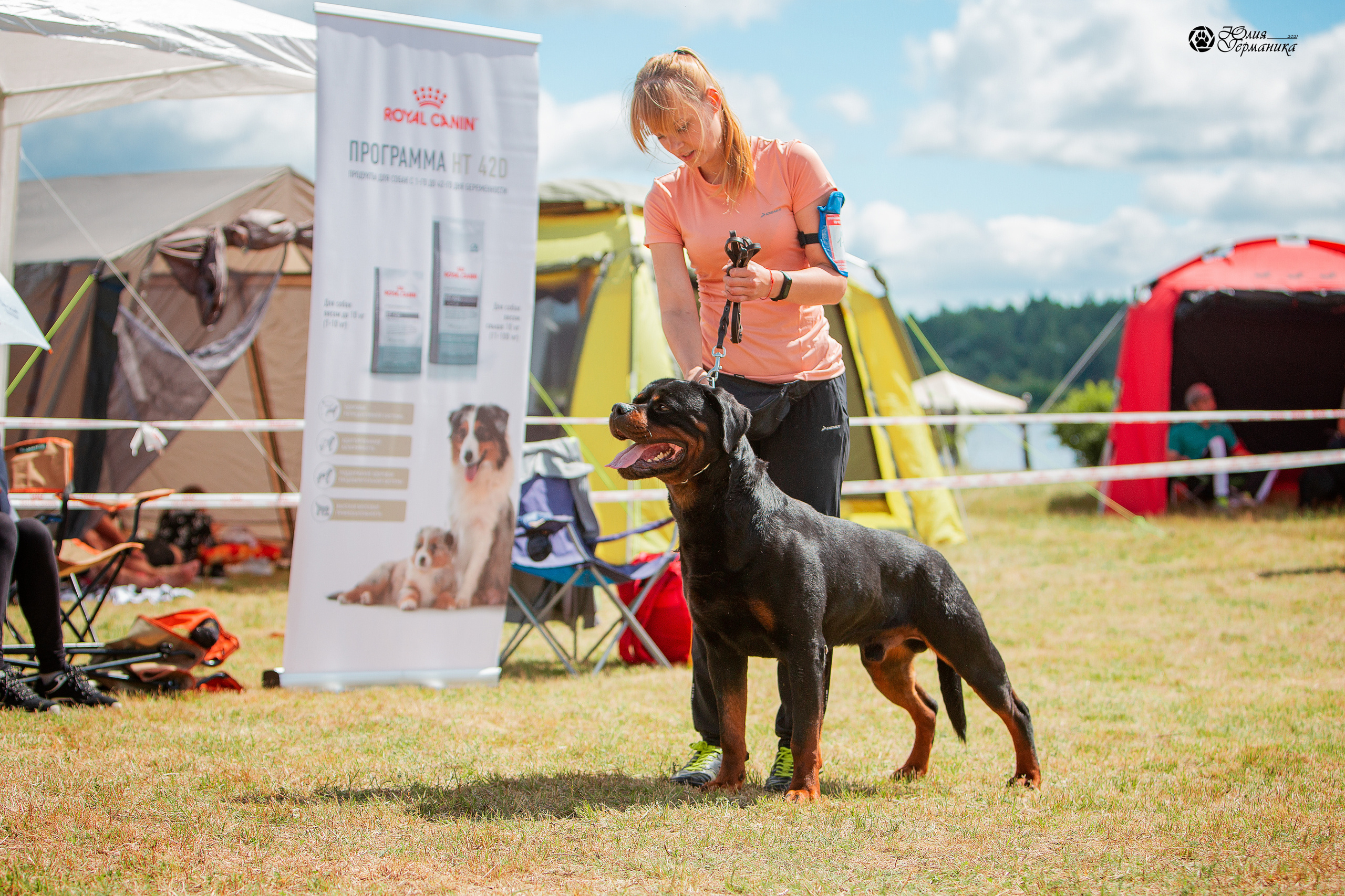 Тверь моно ротвейлеров 3-4 июля 2021. Фотограф-анималист Юлия Германика