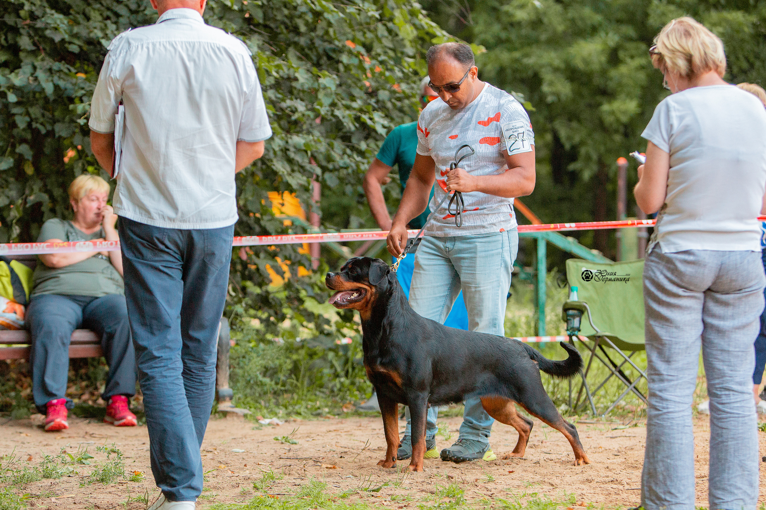 Рязань,Ховрино 14-15 августа 2021 моно ротвейлеров. Фотограф-анималист Юлия Германика