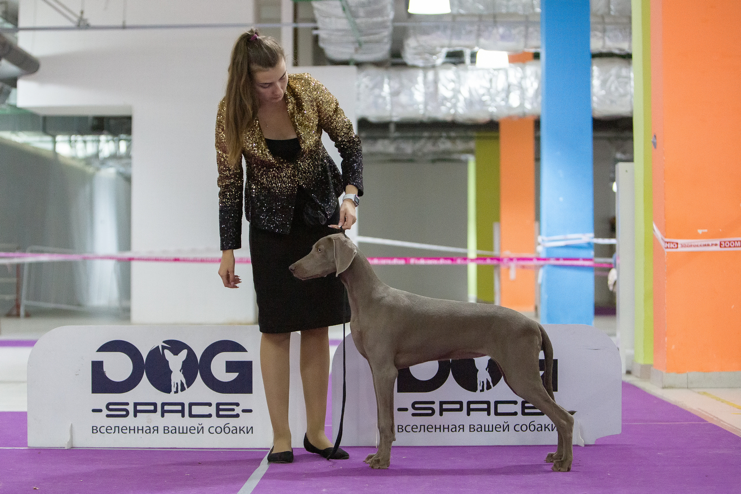 Чайна-Таун 2021. Фотограф-анималист Юлия Германика