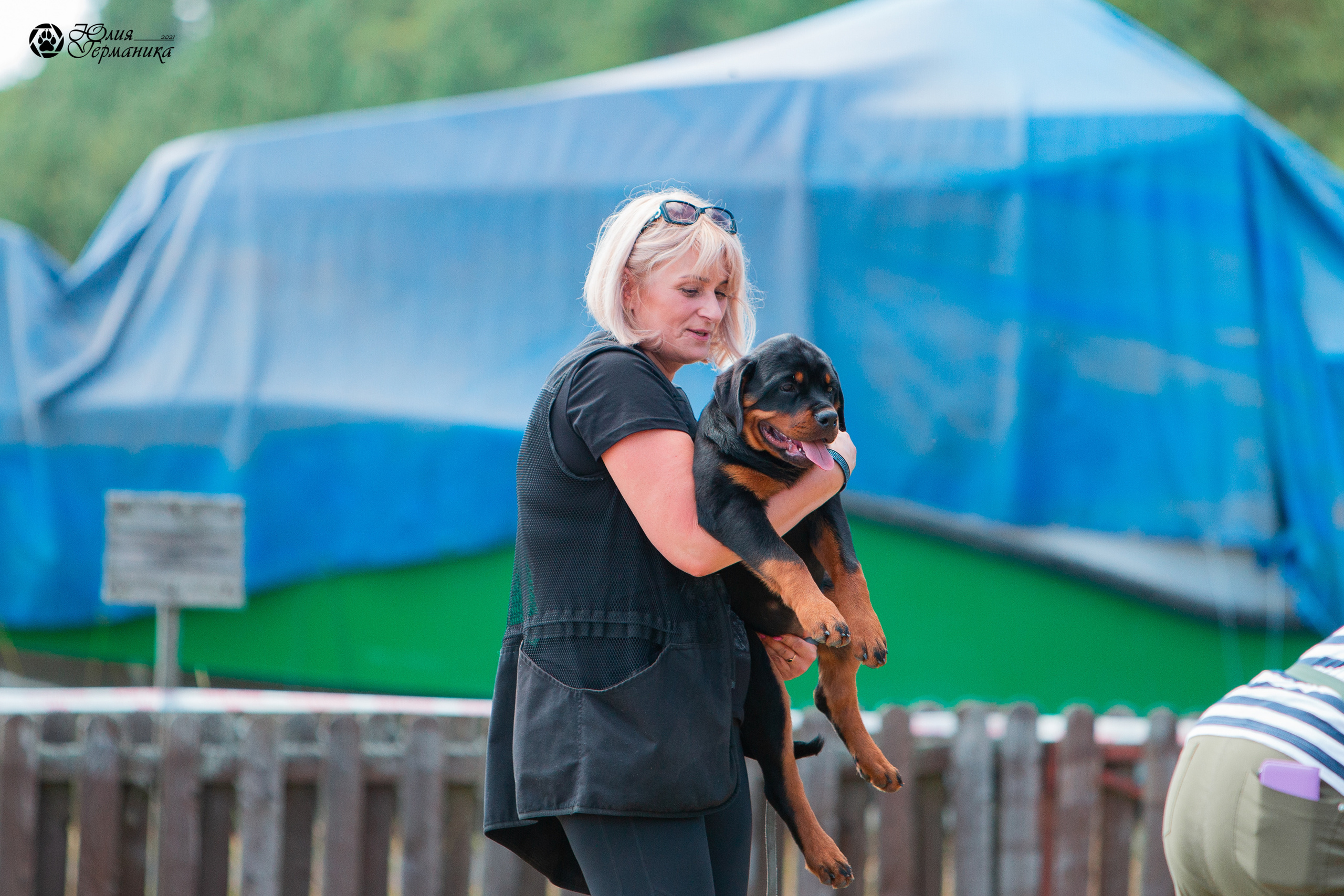 Тверь моно ротвейлеров 3-4 июля 2021. Фотограф-анималист Юлия Германика