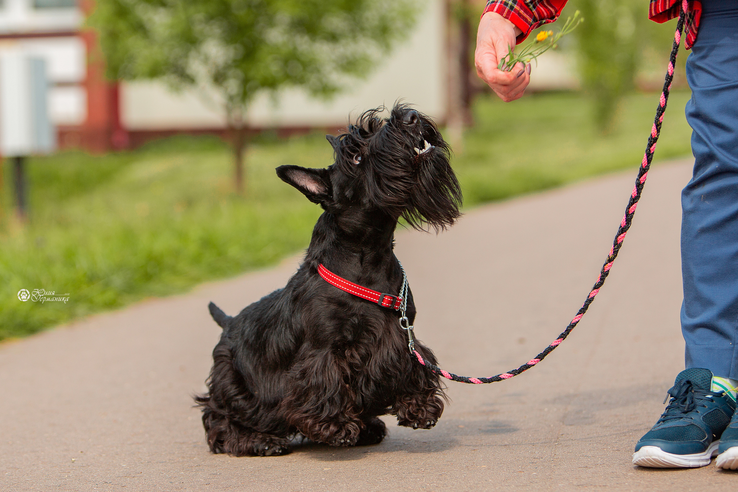 Свободная съемка. Фотограф-анималист Юлия Германика